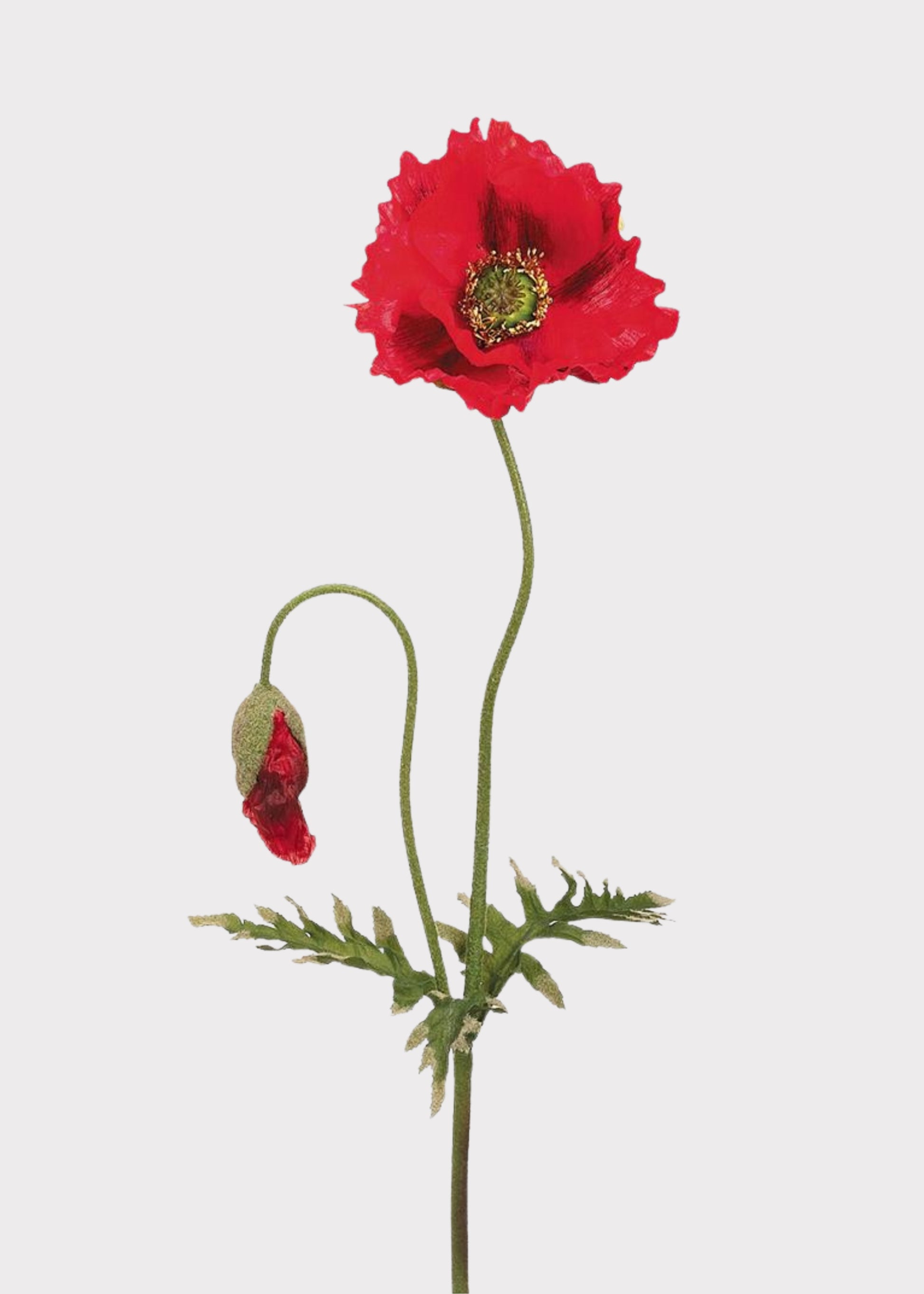 Red Fake Poppy