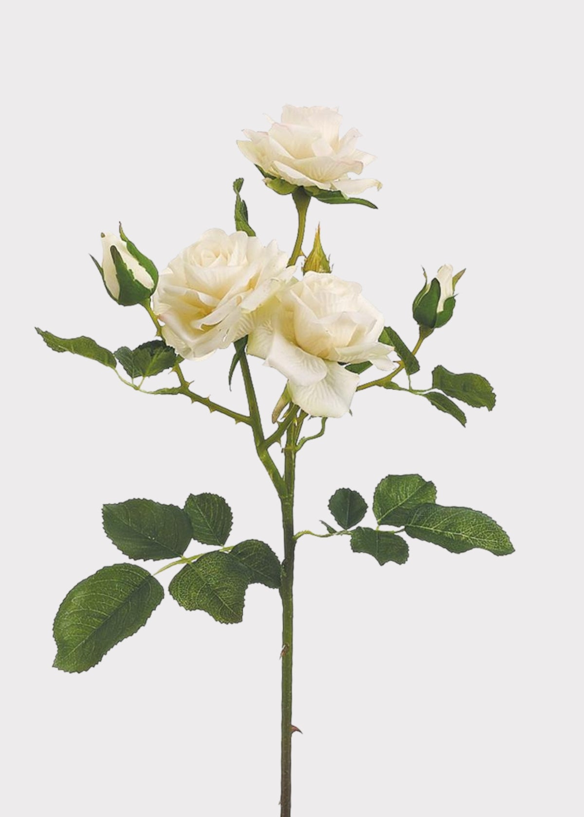 Rose Stem in Cream | Artificial Flowers and Roses at Afloral