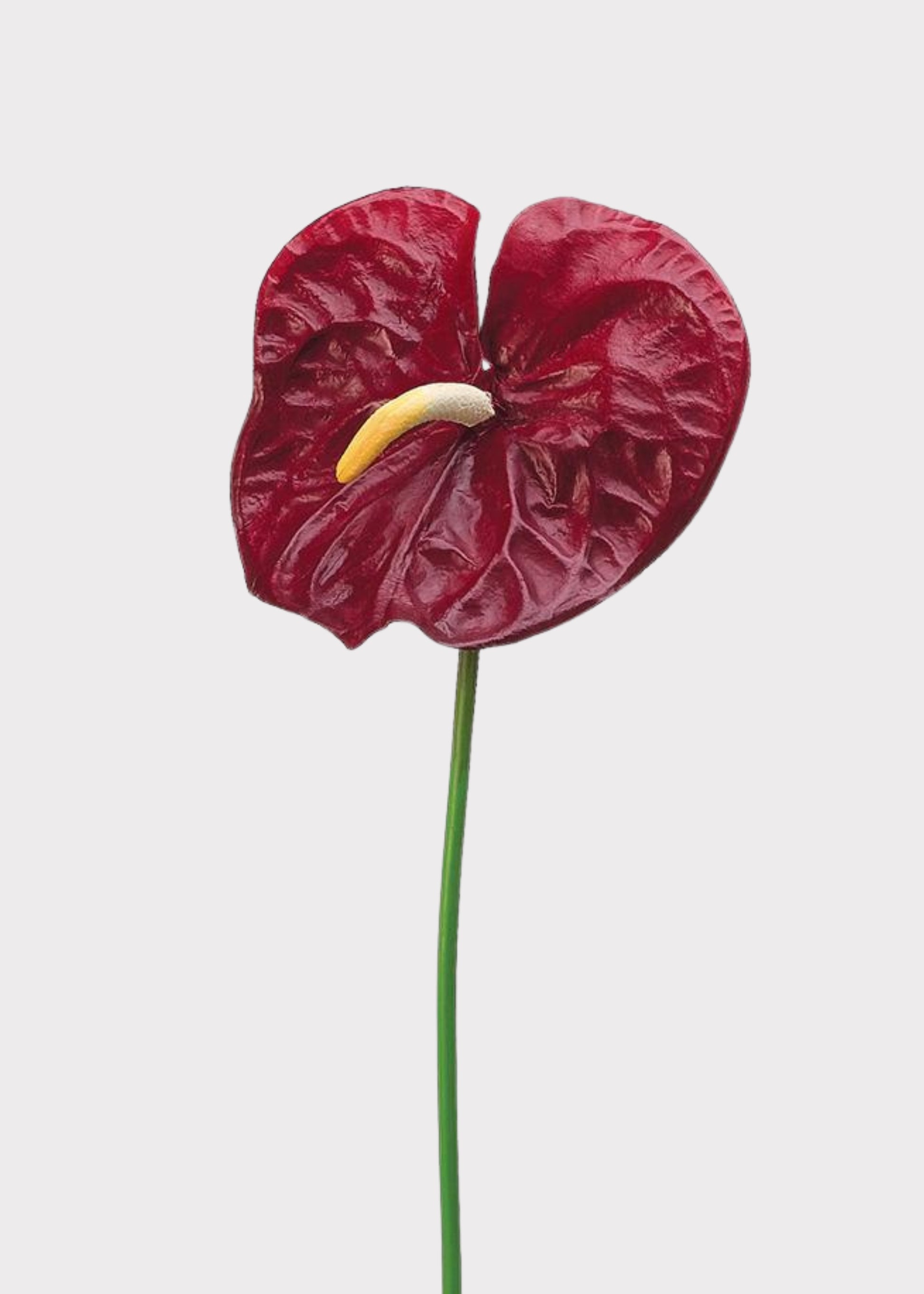 Dark Red Artificial Anthurium