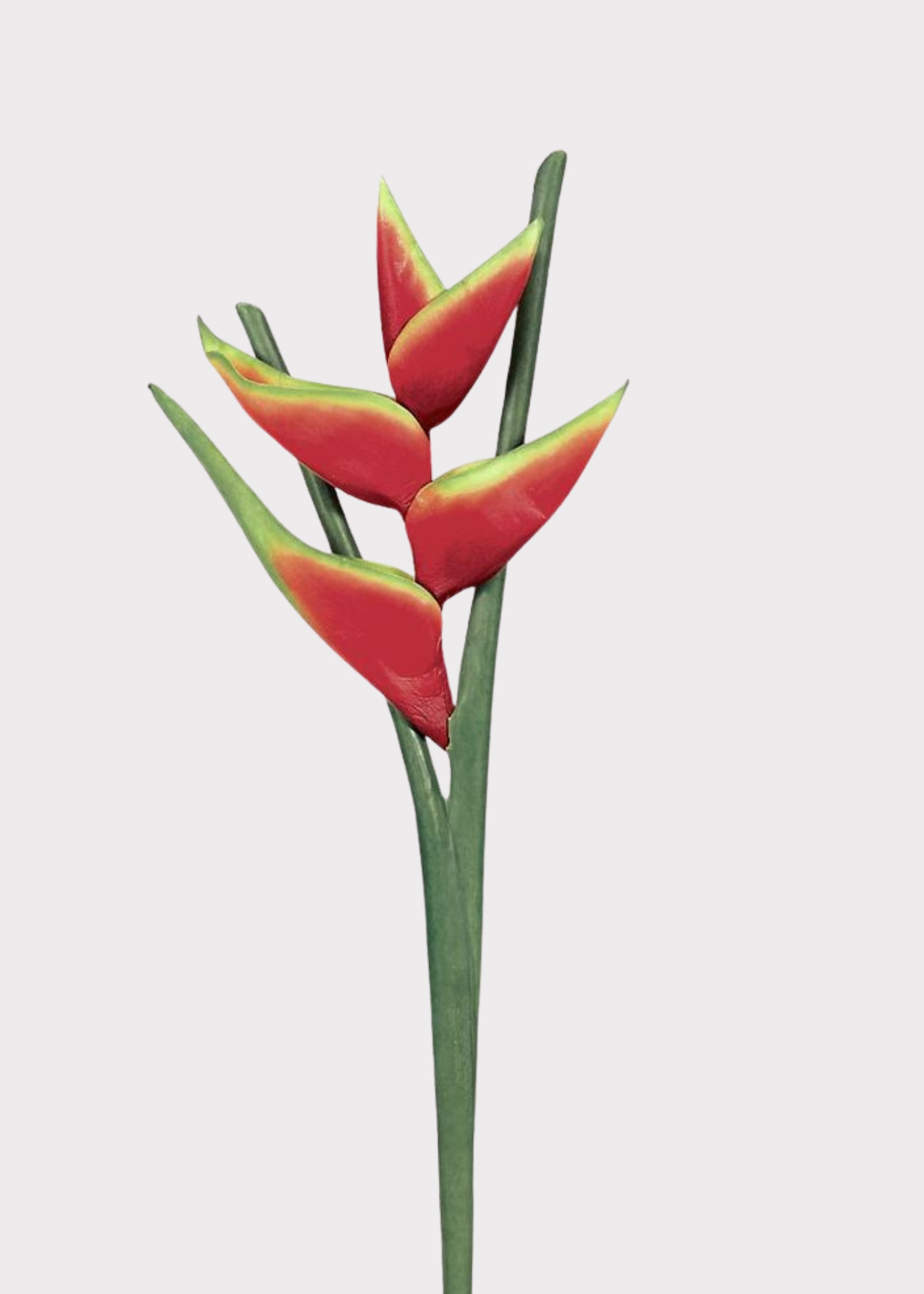 Artificial Hawaiian Heliconia