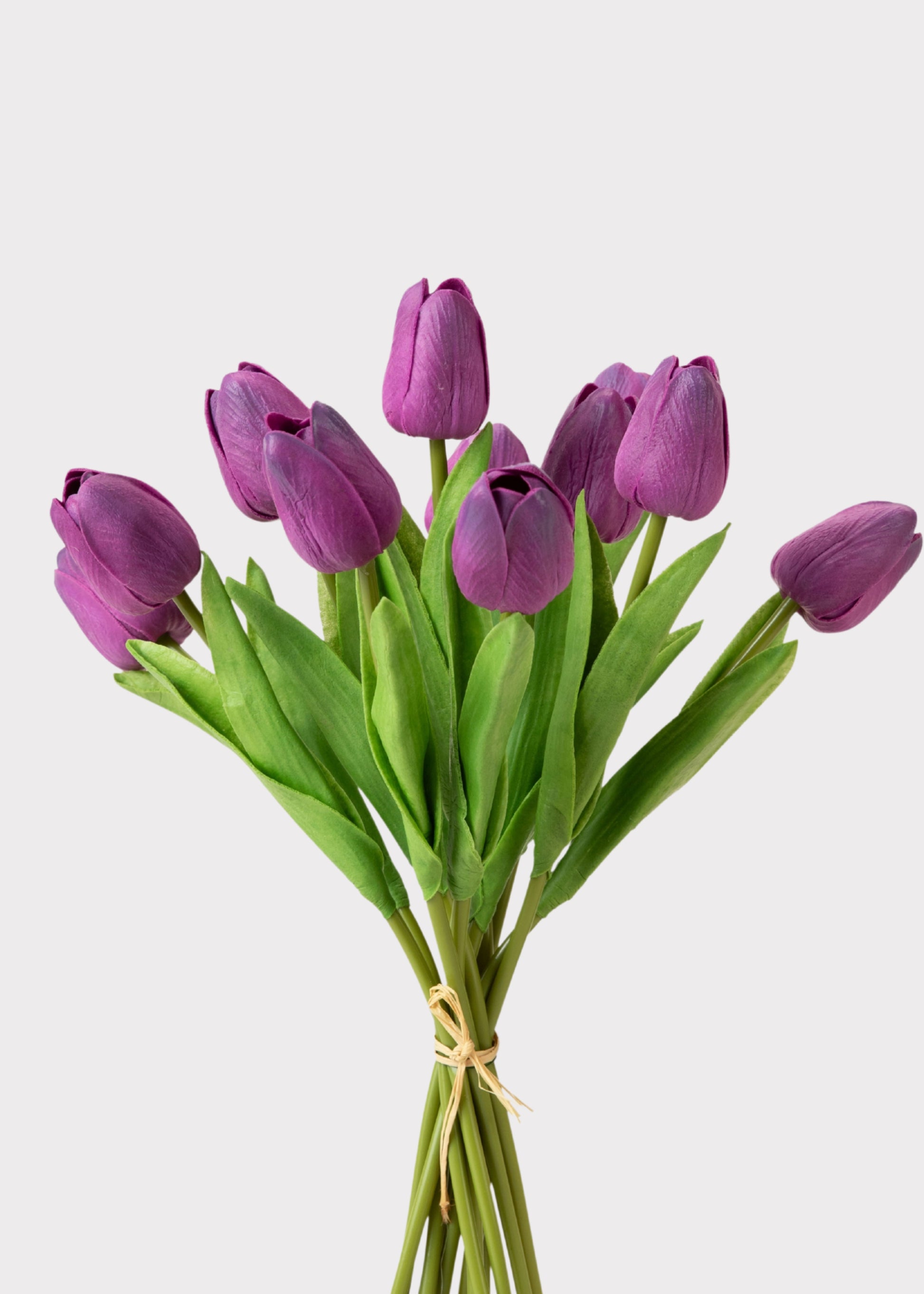 Bouquet of purple tulips 