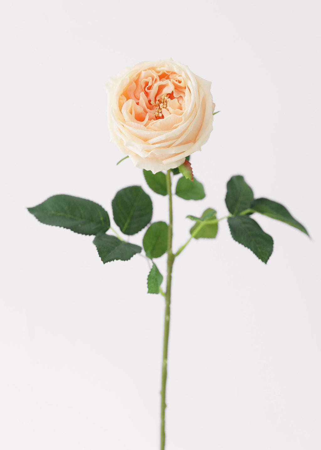 Peach Real Touch Rose Artificial Flower
