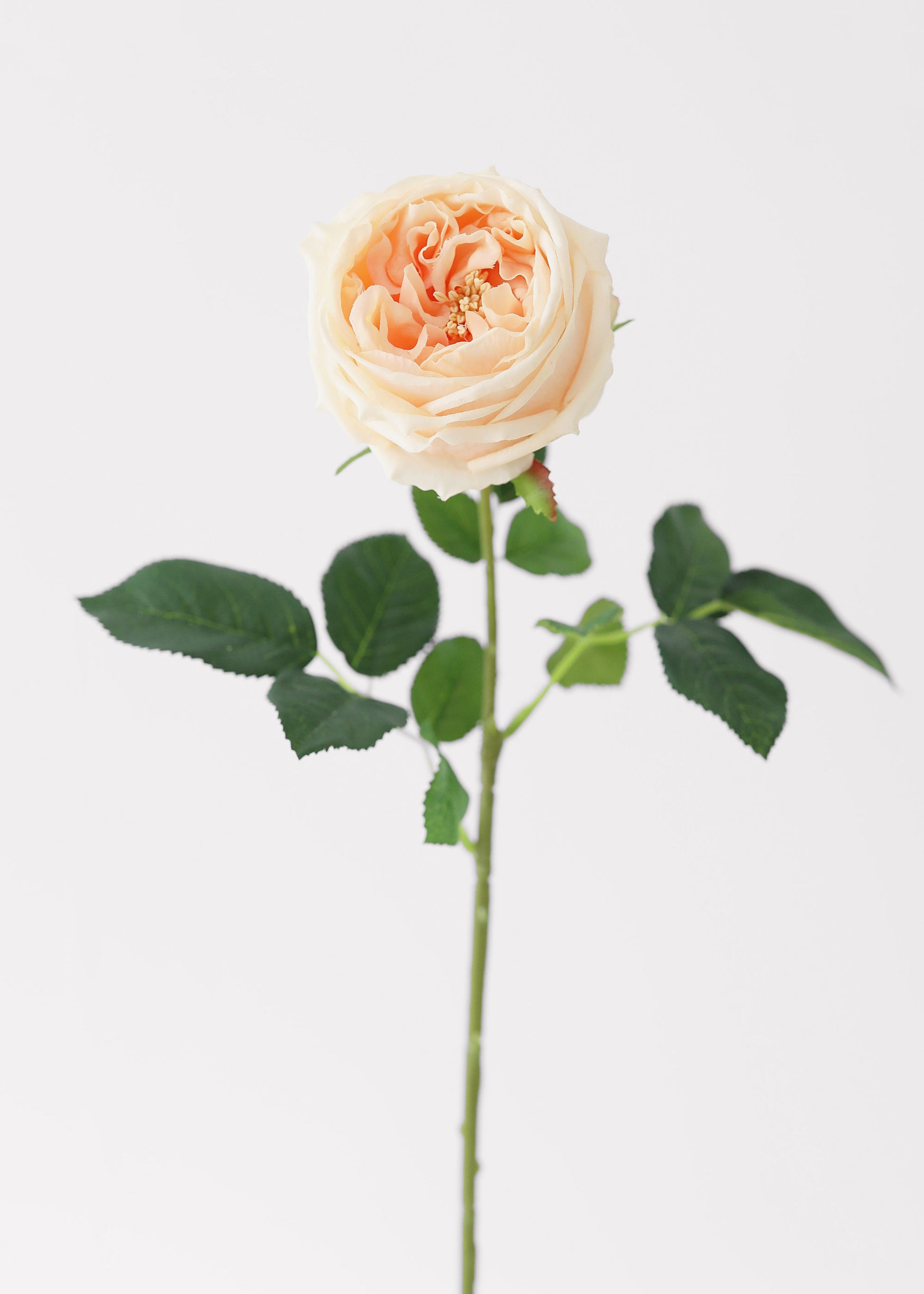 Peach Real Touch Rose Artificial Flower