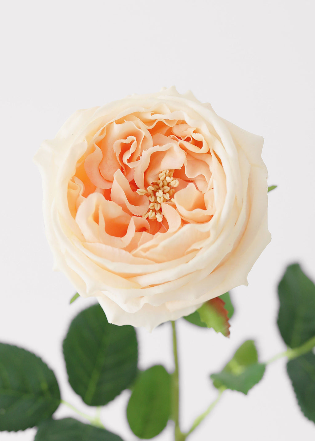 Peach Real Touch Rose Artificial Flower