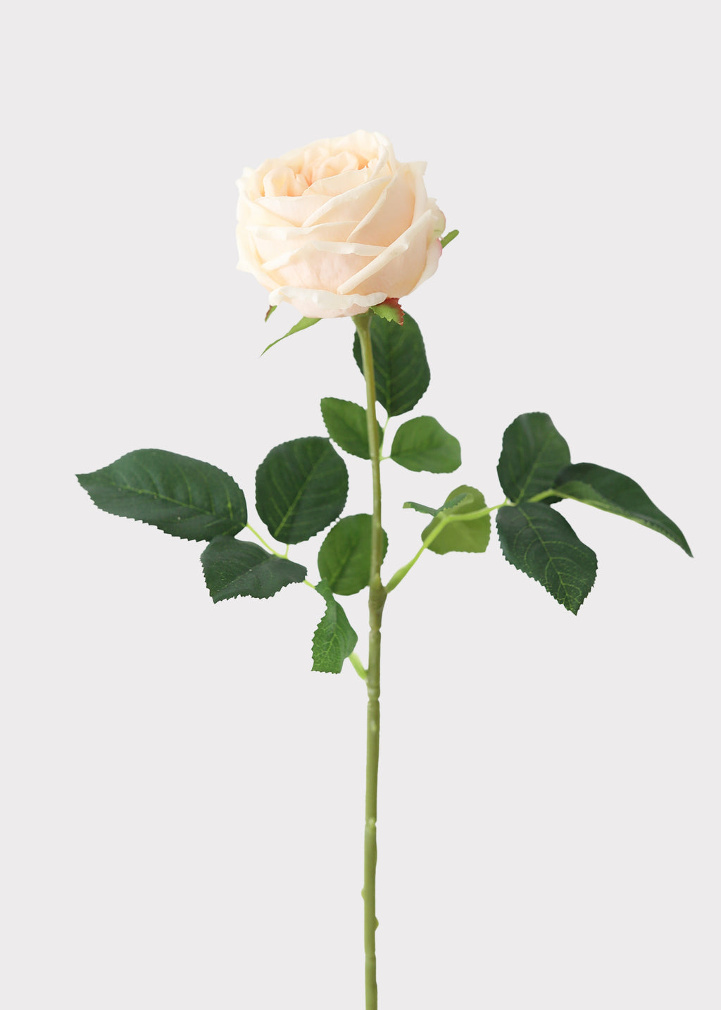 Peach Real Touch Rose 