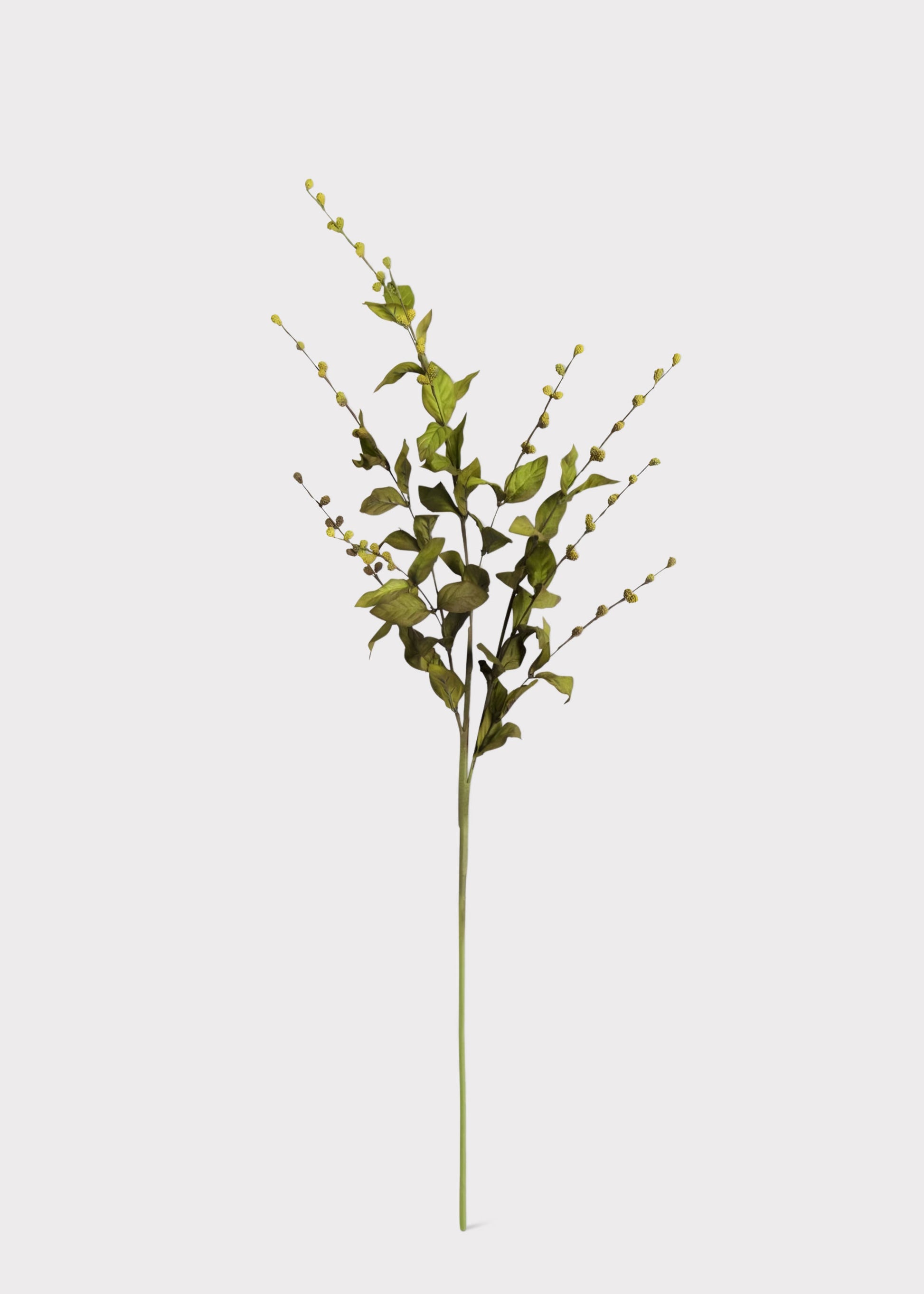 Artificial European Beech Branch 