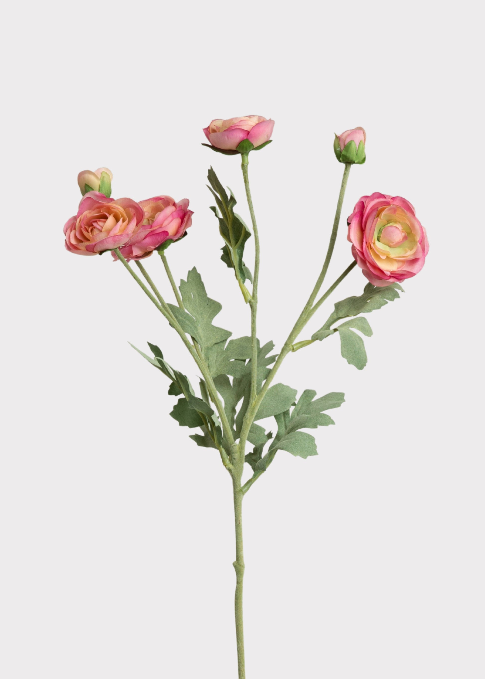 Ranunculus Fake Flowers in Pink