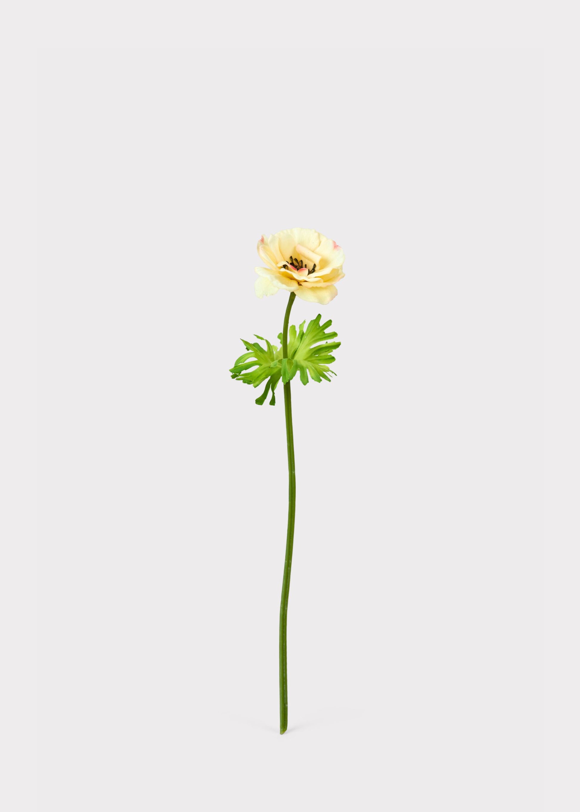 Artificial Buttercup 