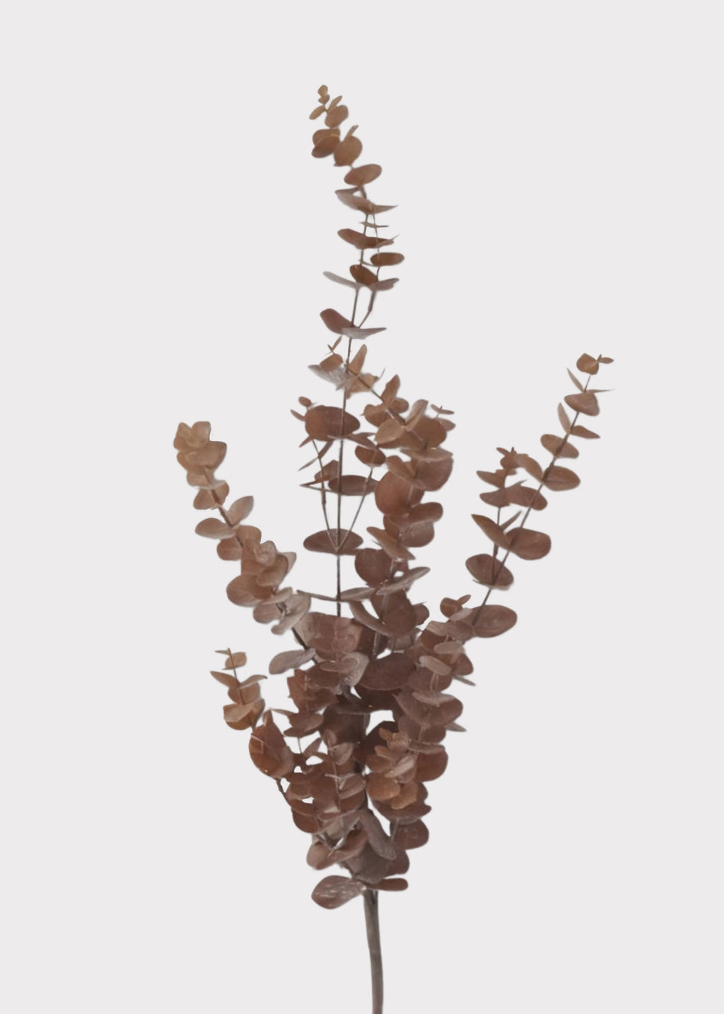 Faux Eucalyptus Branch in Fall Brown