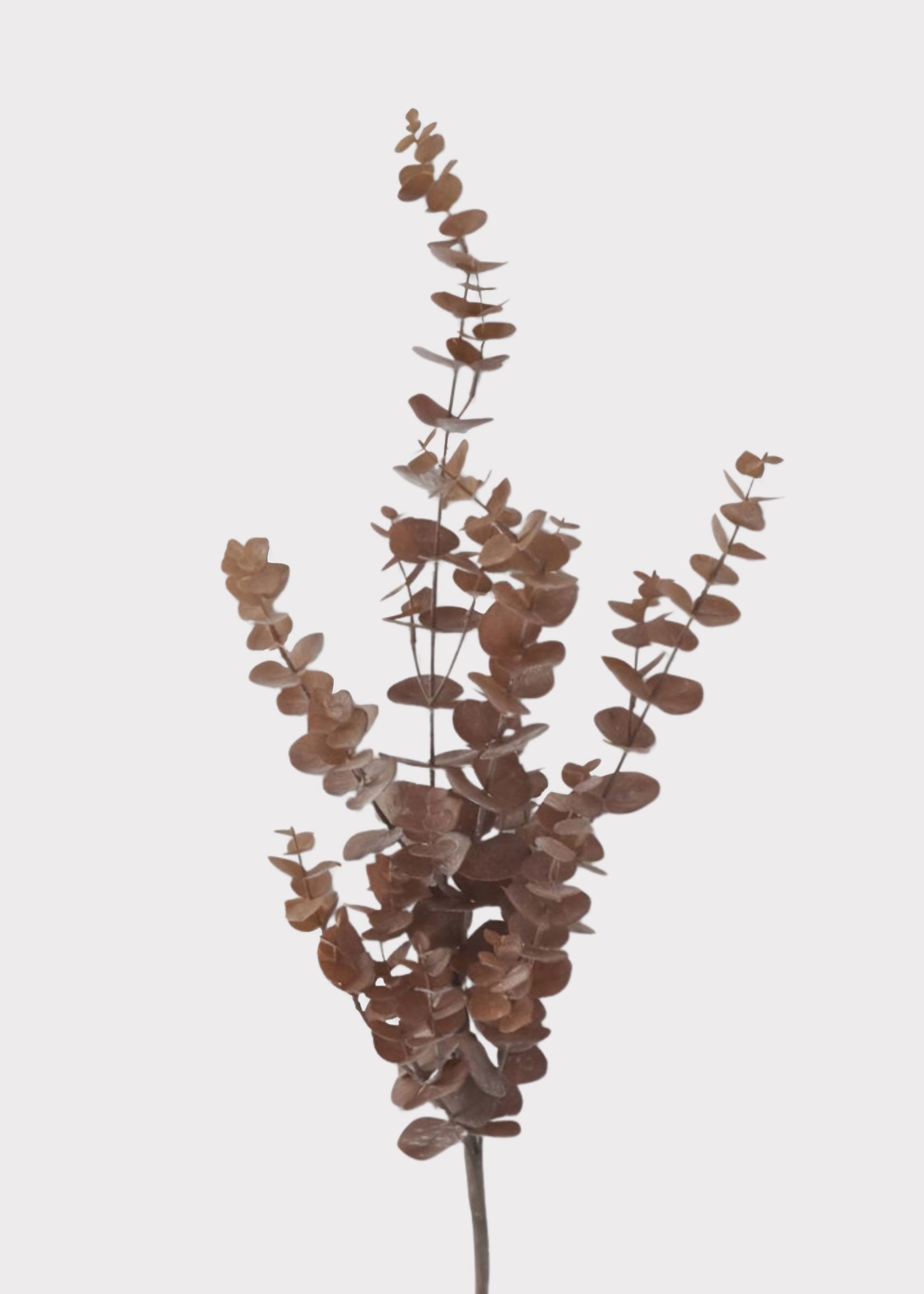 Faux Eucalyptus Branch in Fall Brown