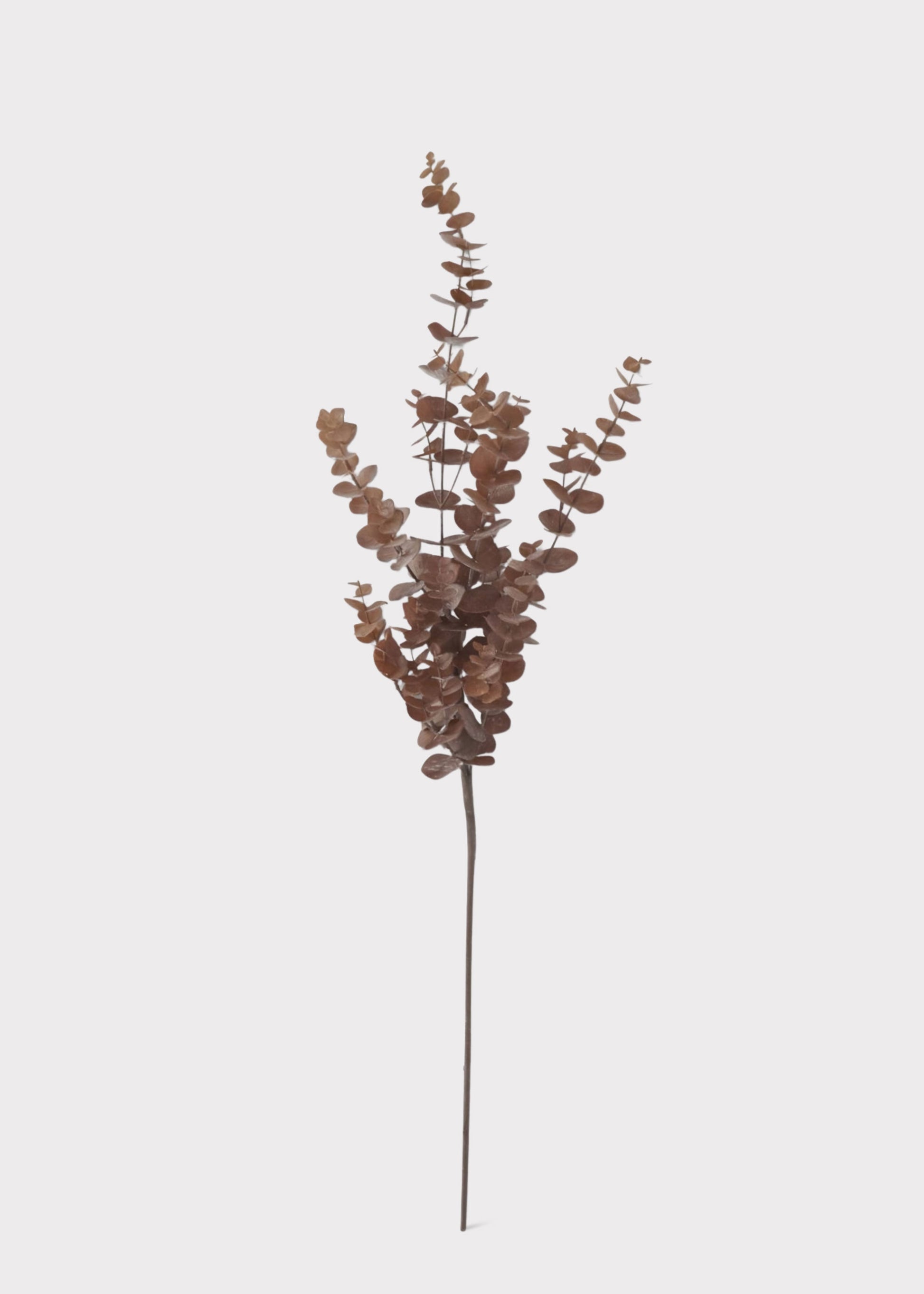 Faux dried eucalyptus branch 