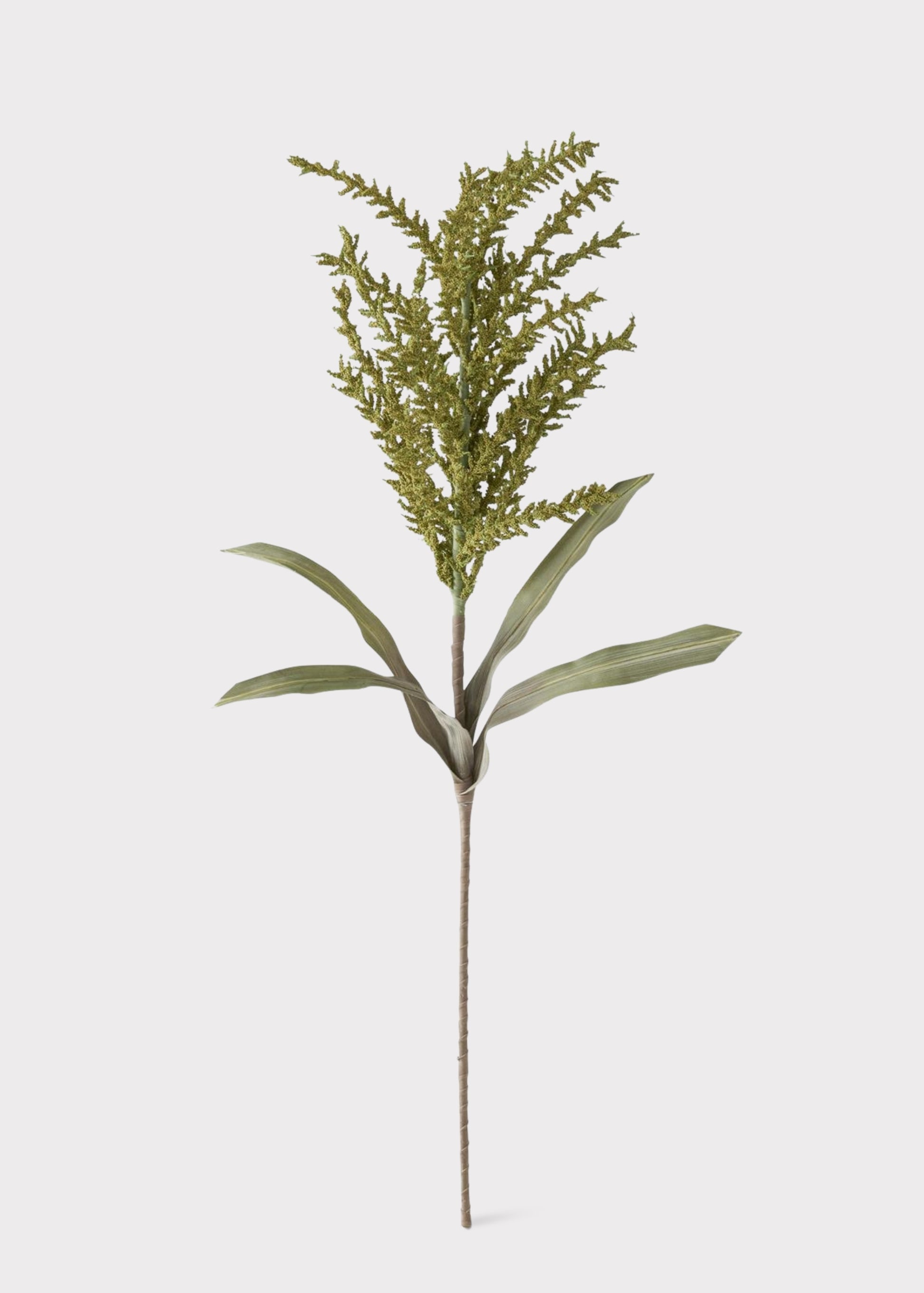 seed stem plant Tall Seed Berry Stem in Green