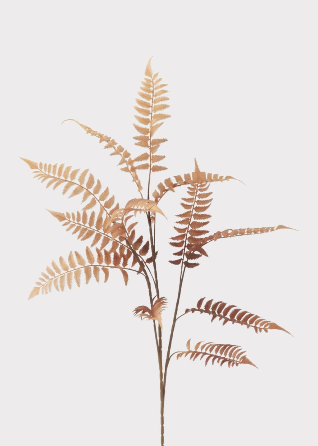 Fall Orange Artificial Fern Leaf Branch