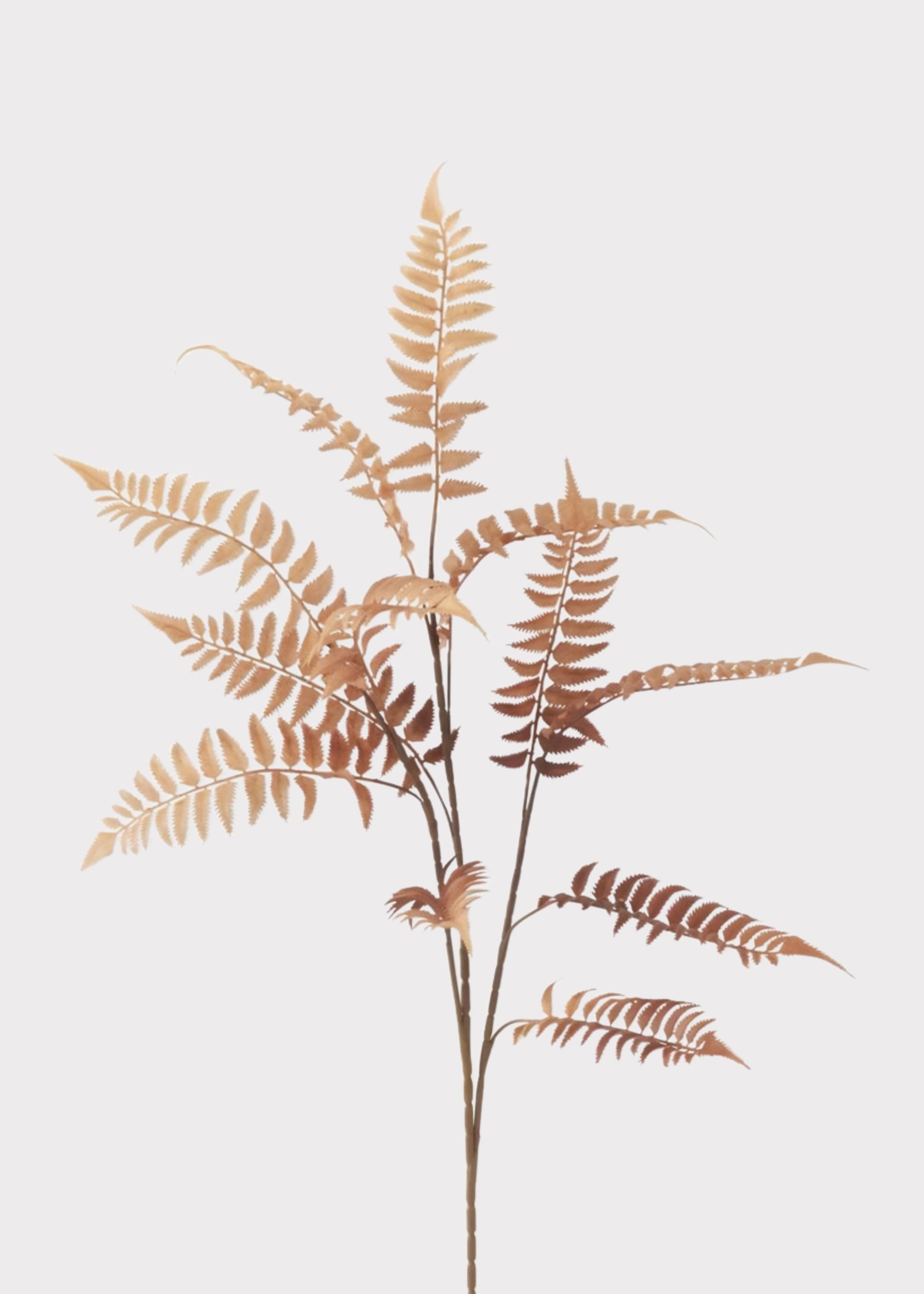 Fall Orange Artificial Fern Leaf Branch