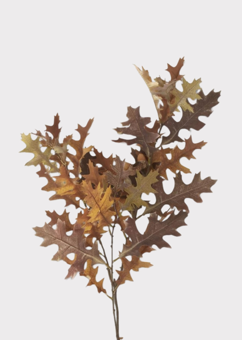 Fake Oak Leaf Branch in Fall Hues