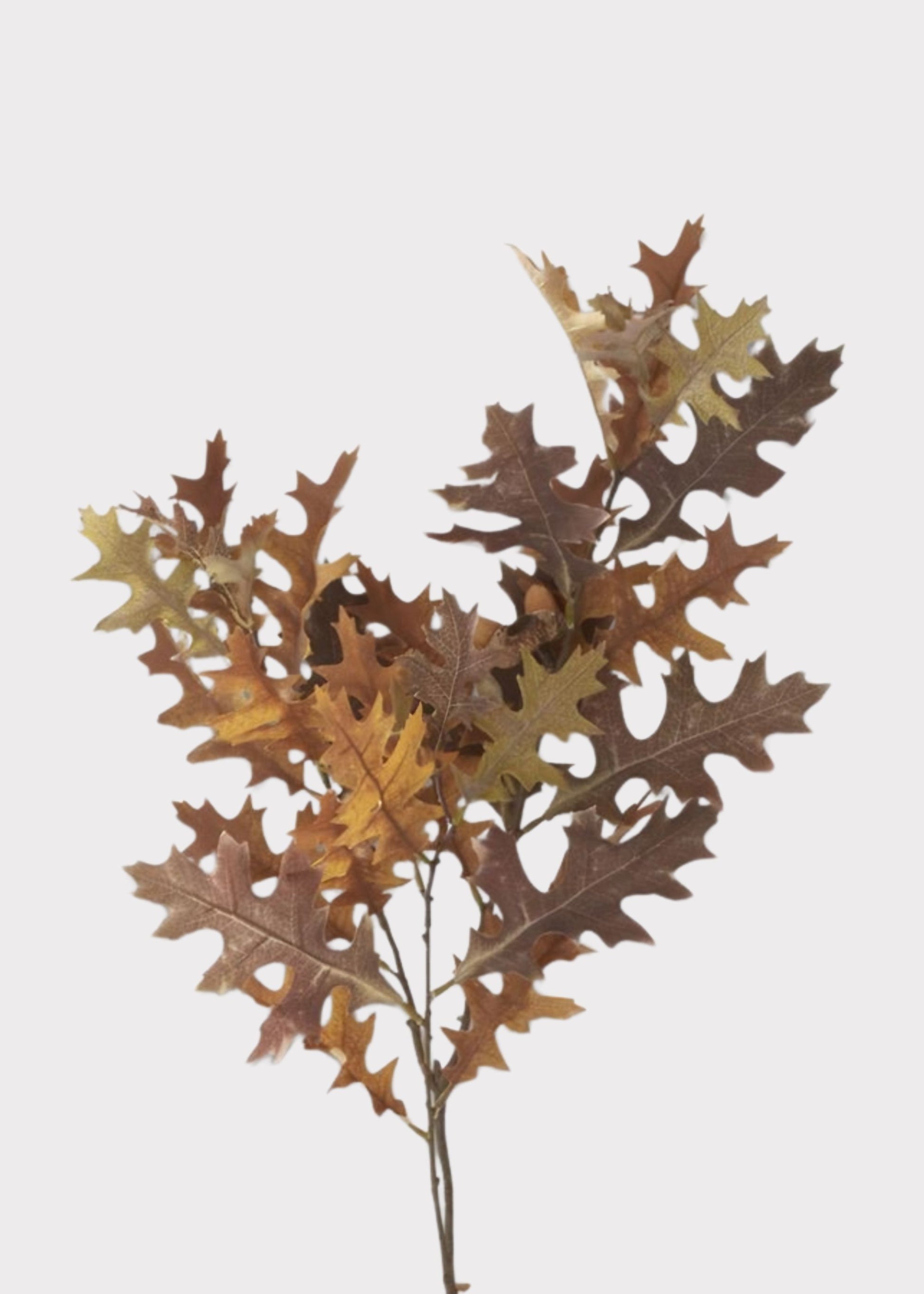 Fake Oak Leaf Branch in Fall Hues