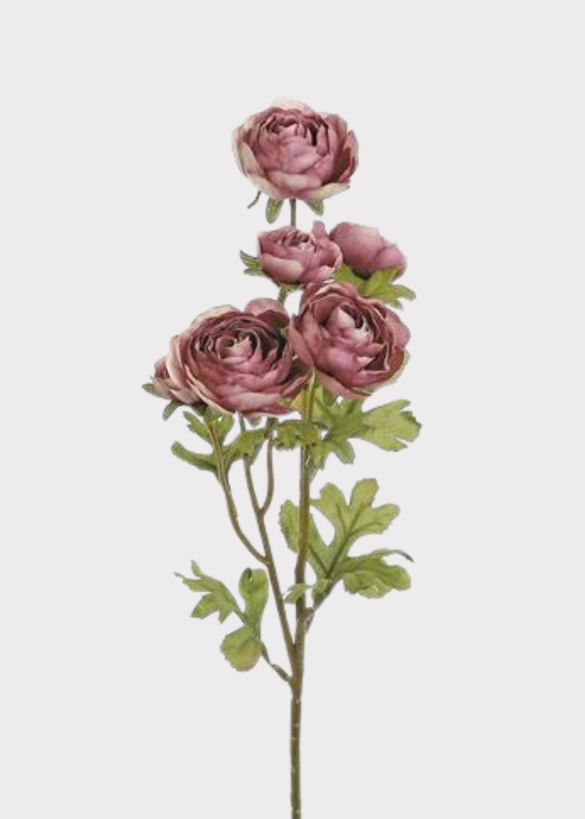 Artificial Ranunculus Flowers in Dusty Mauve