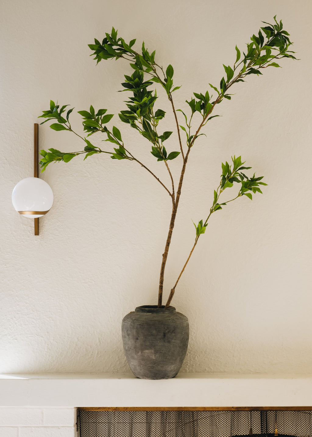 concrete vase with statement branch