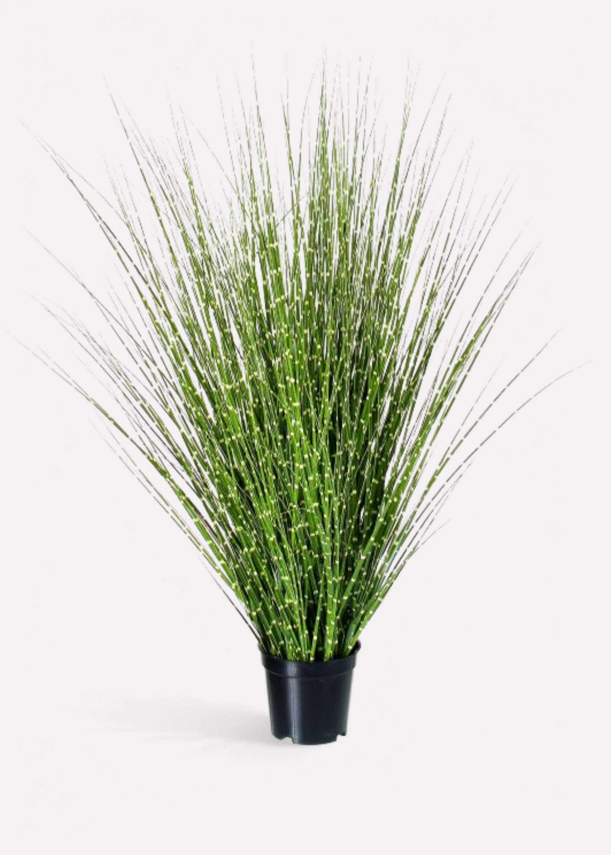Artificial Zebra Grass Plant