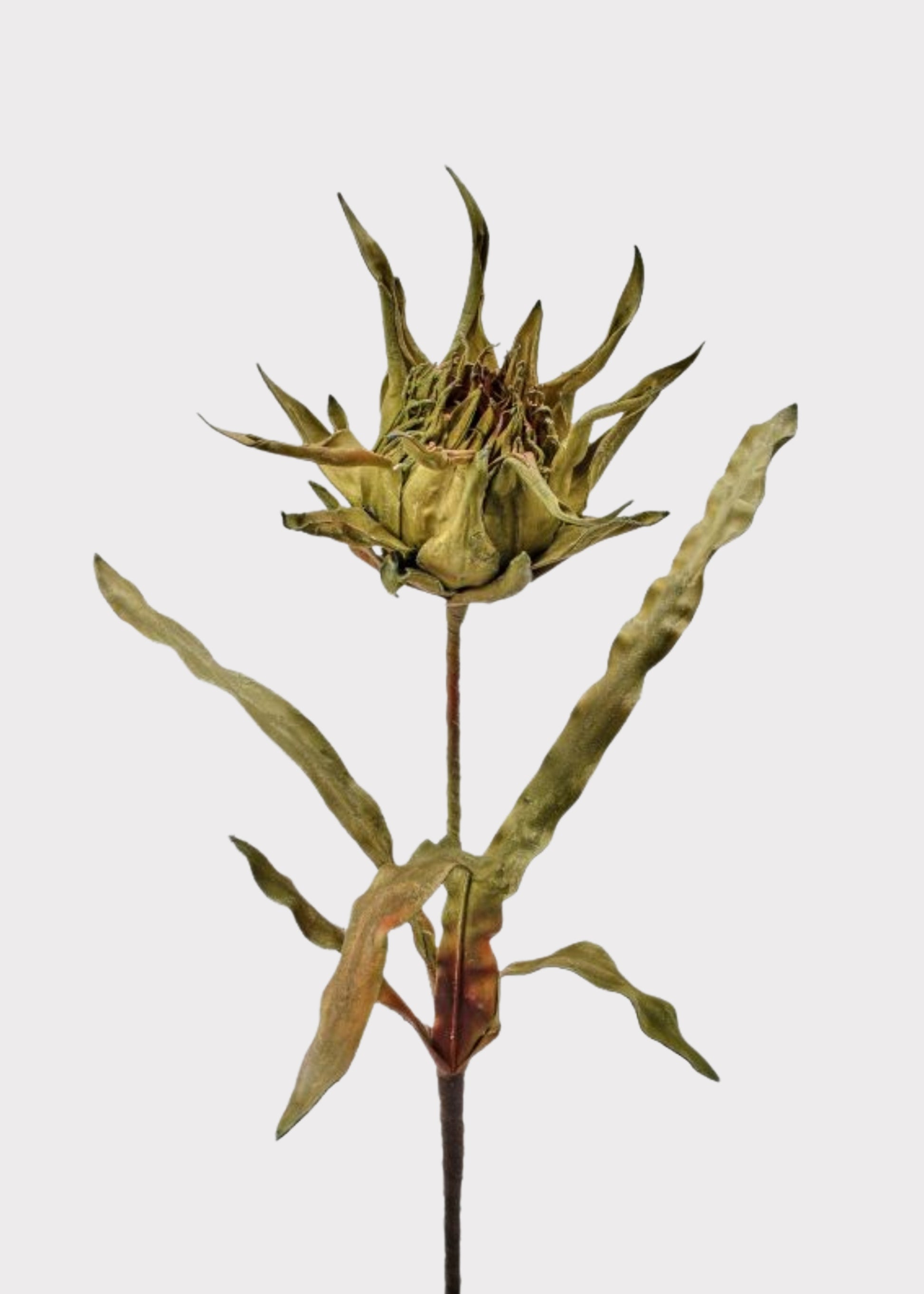 Large Fake Artichoke Protea Tropical Flower in Green 