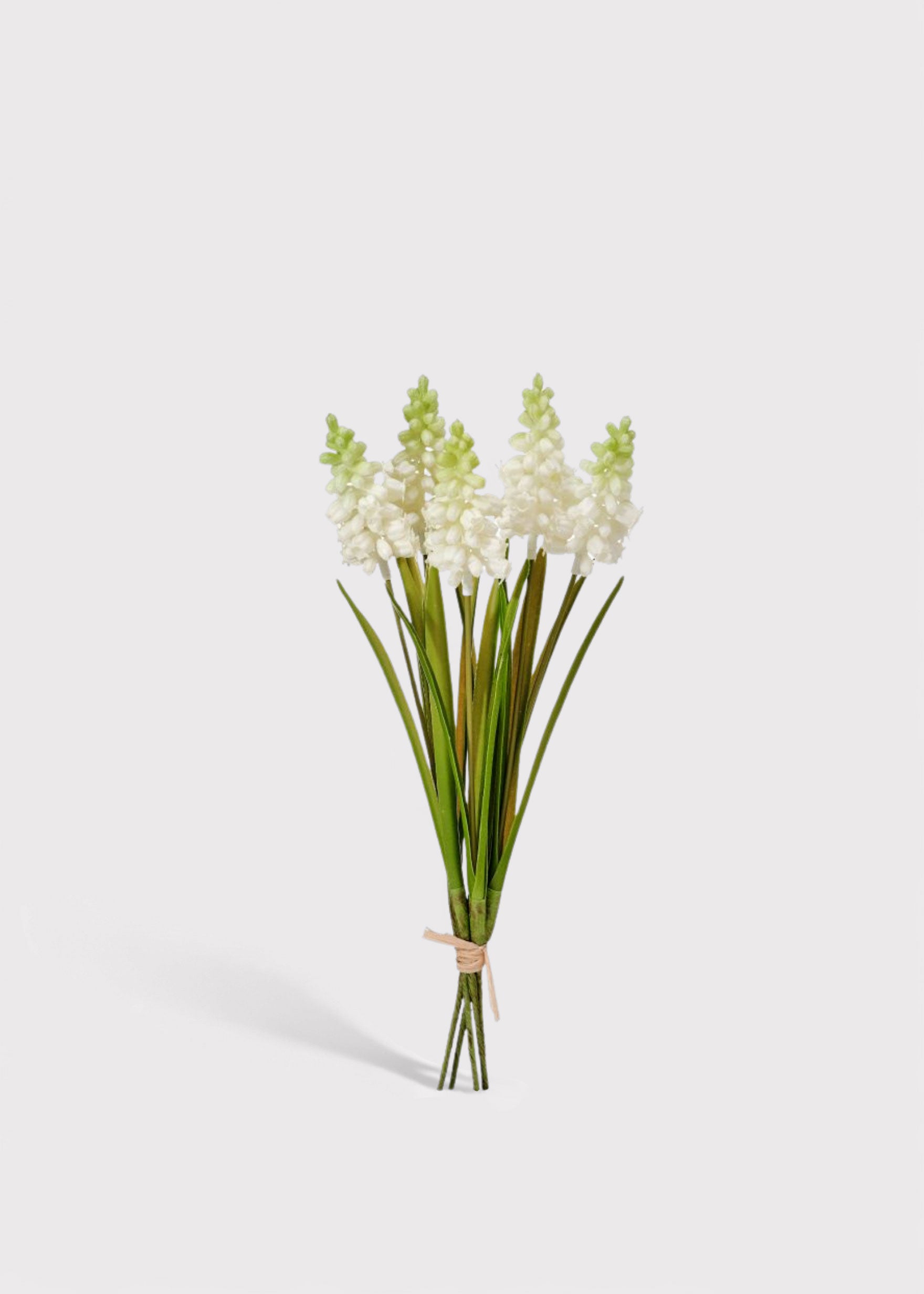 White Grape Hyacinth Bundle