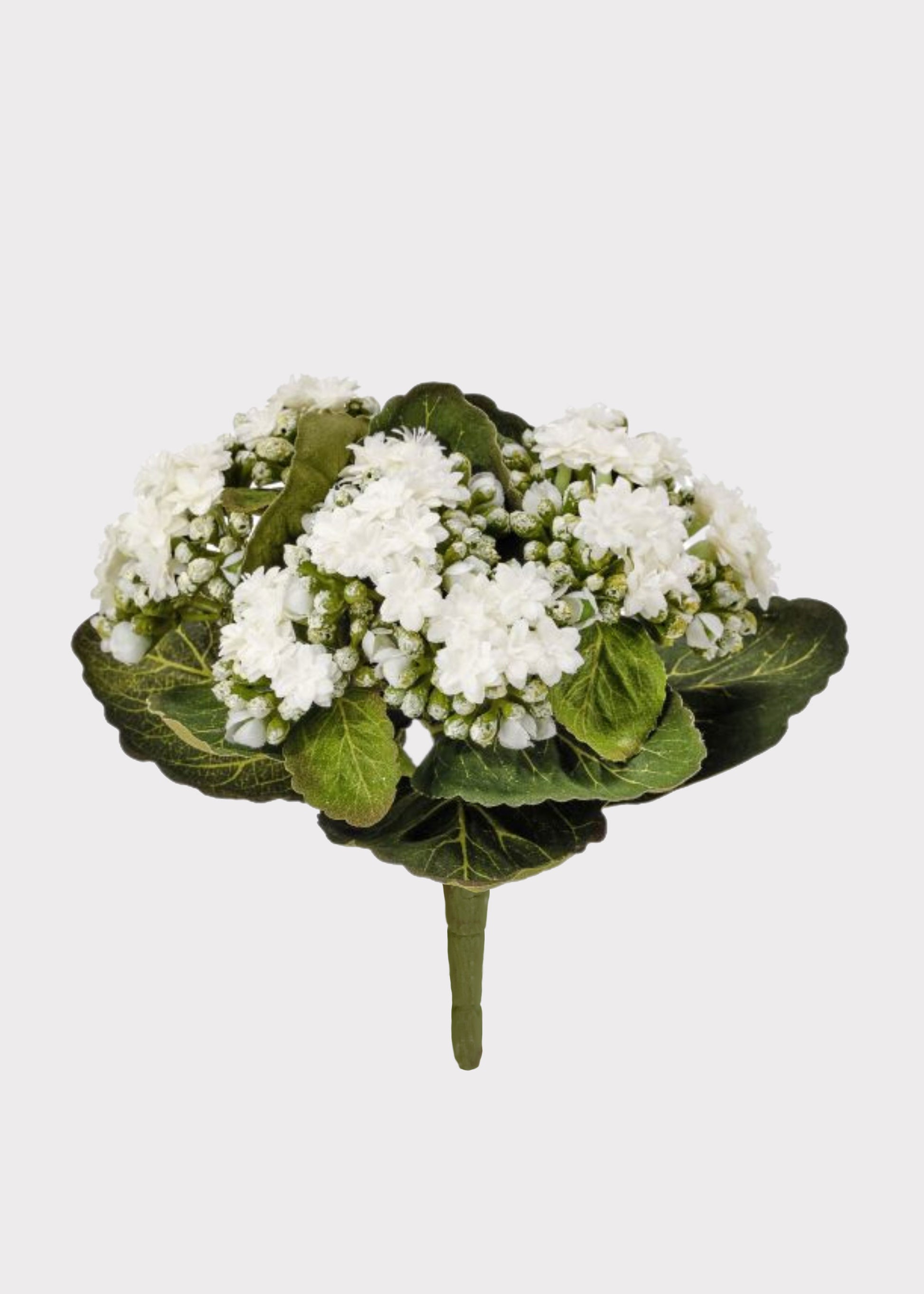 Fake Kalanchoe Plant