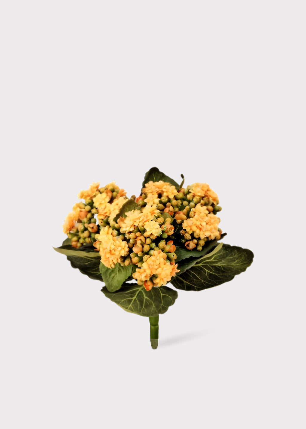 faux kalanchoe blooming plant in yellow
