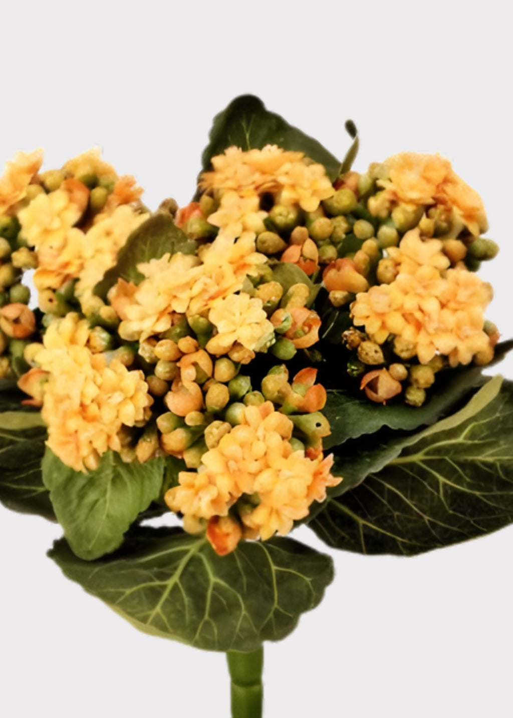 close-up of a faux kalanchoe blooming plant in yellow