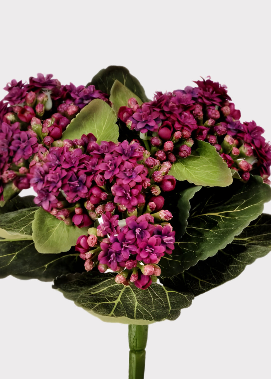 close-up of anrtificial Kalanchoe plant