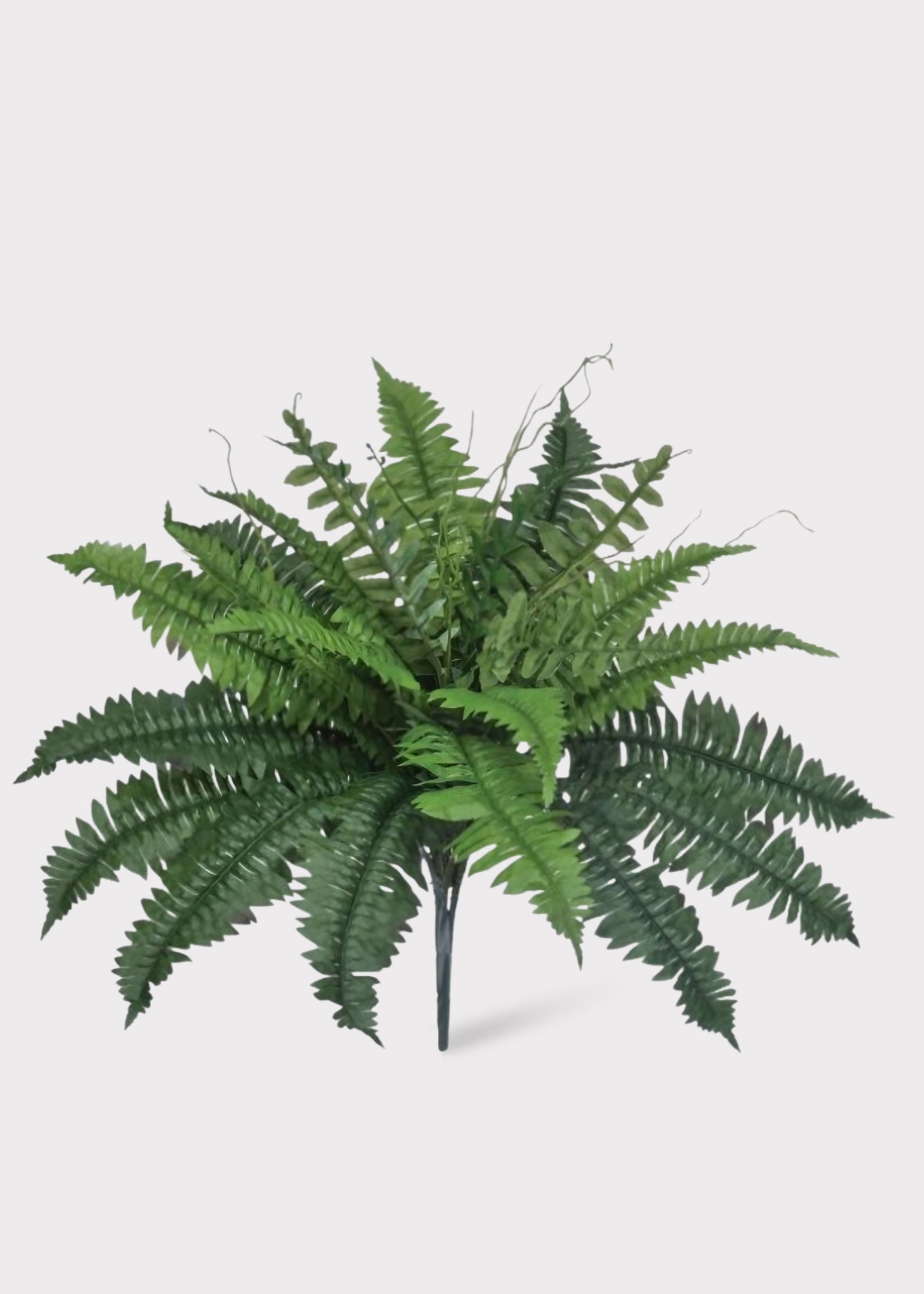 Artificial Estate Fern