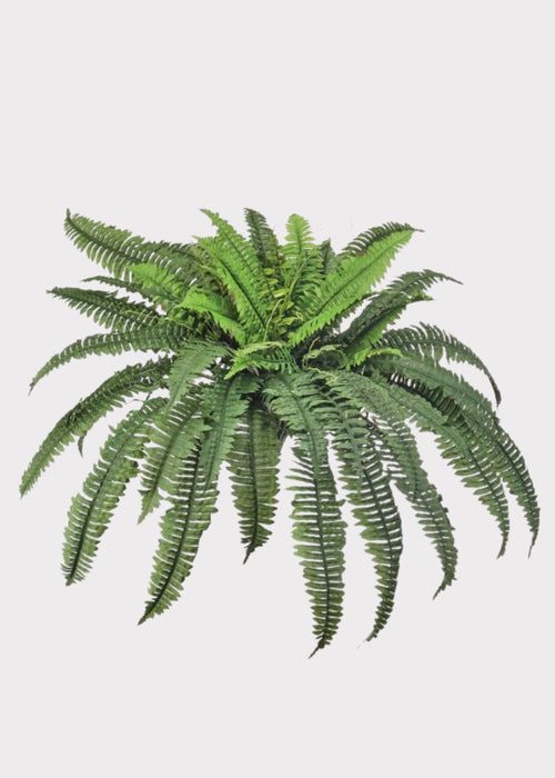 Faux Boston Fern Plant
