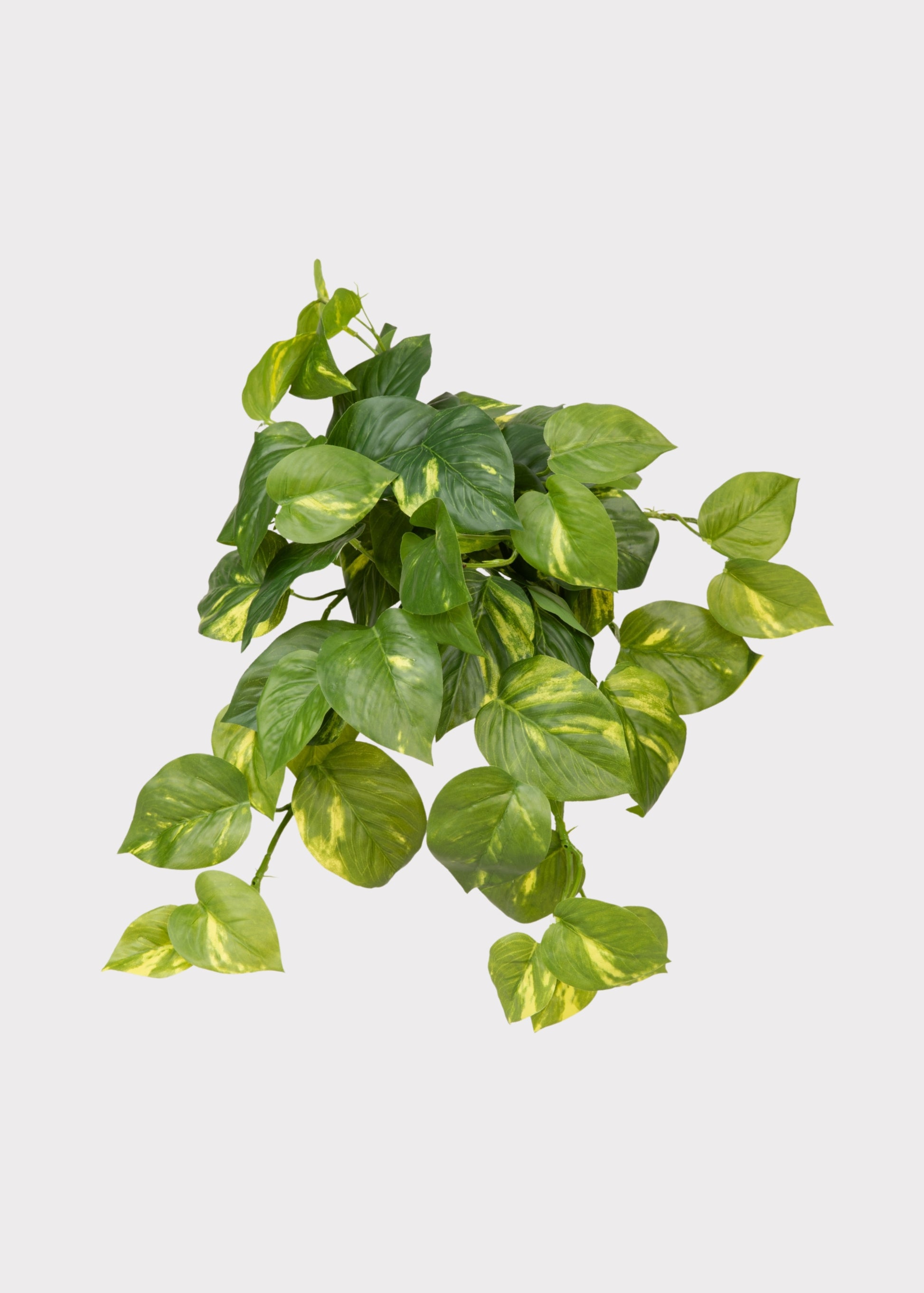 Artificial Pothos Hanging Plant