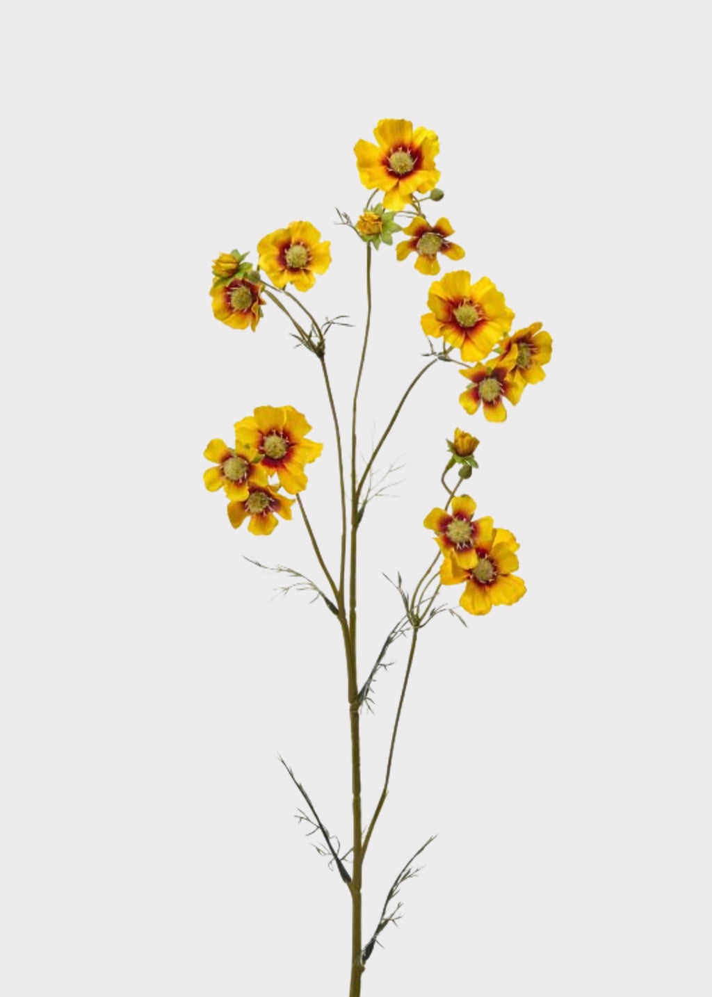 Yellow Fake Cosmos Spray