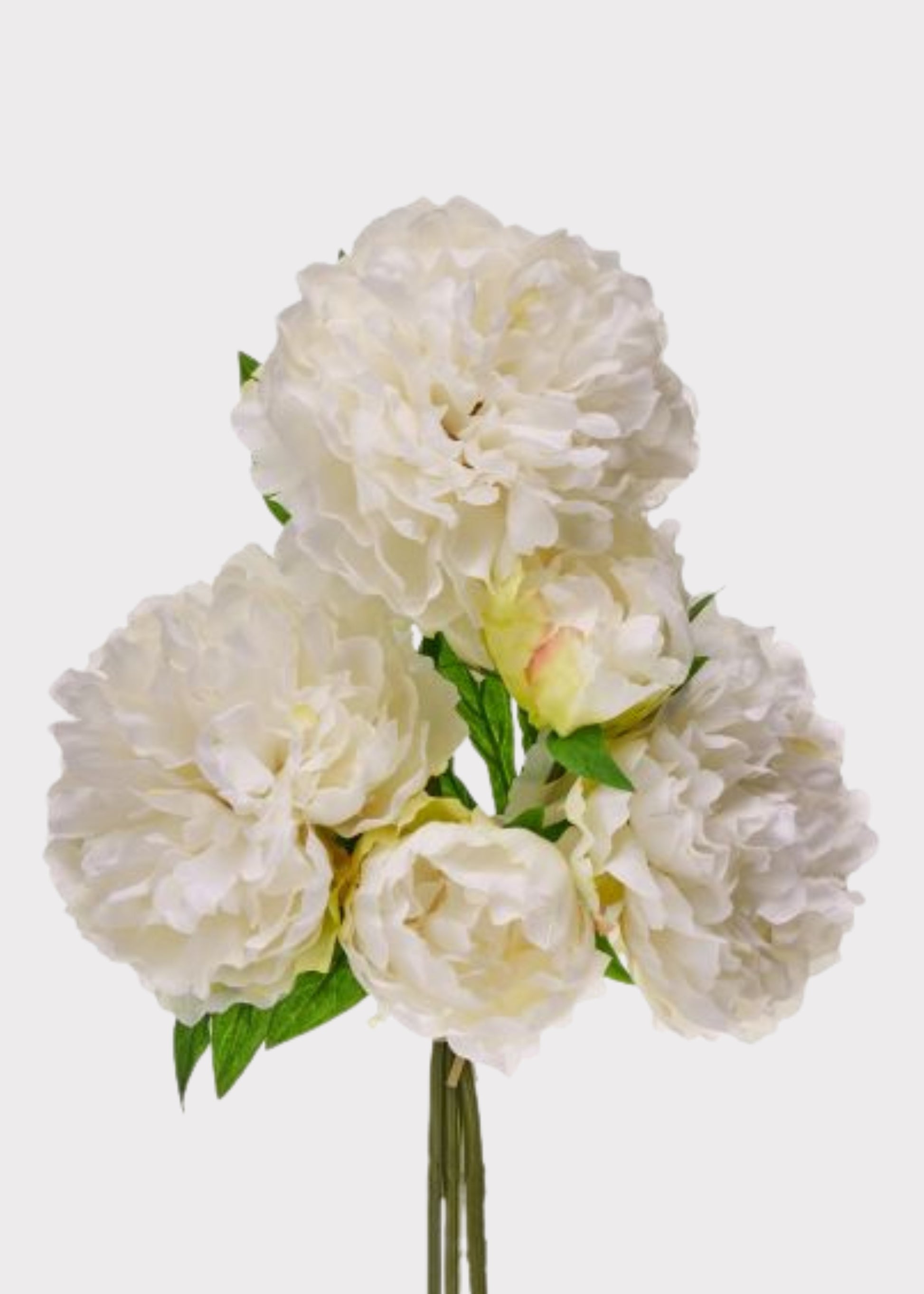 Faux Cream Peonies
