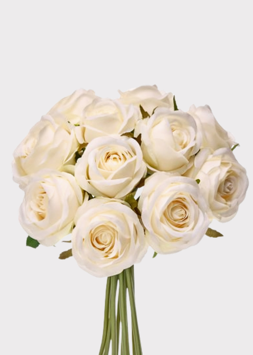 Bundle of Ivory Roses