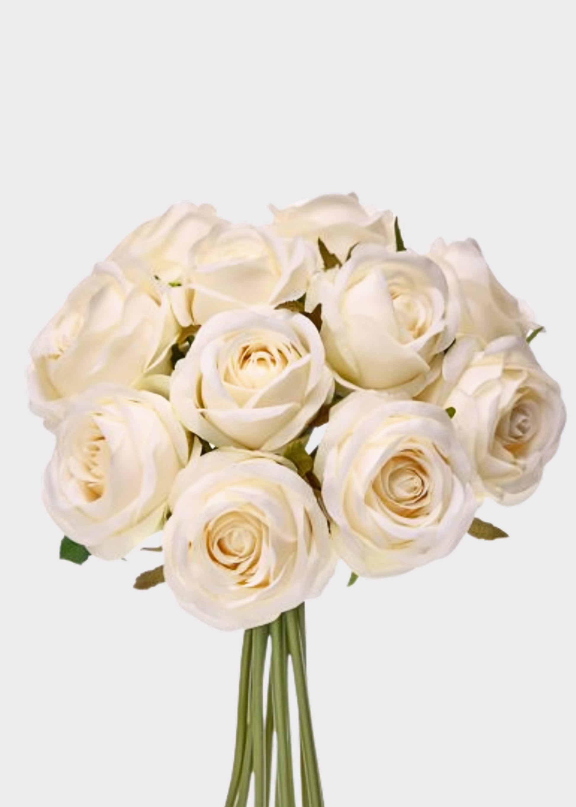 Bundle of Ivory Roses