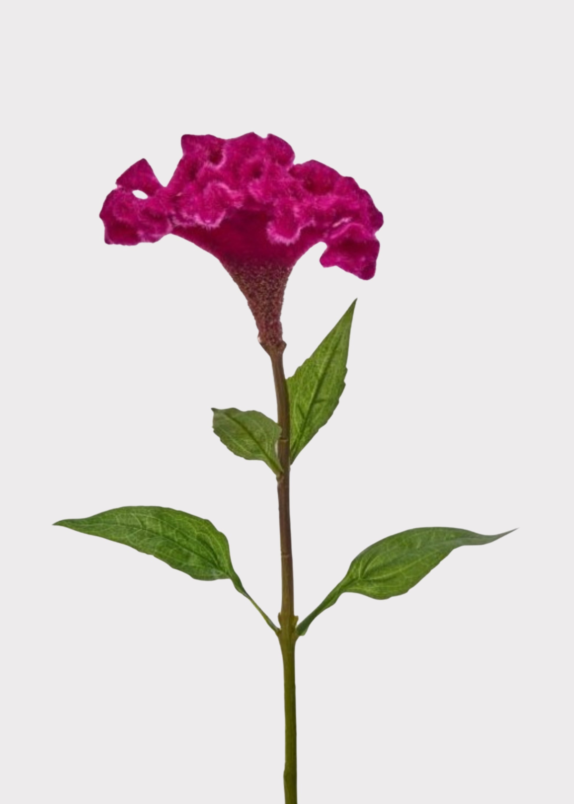 Hot Pink Artificial Celosia