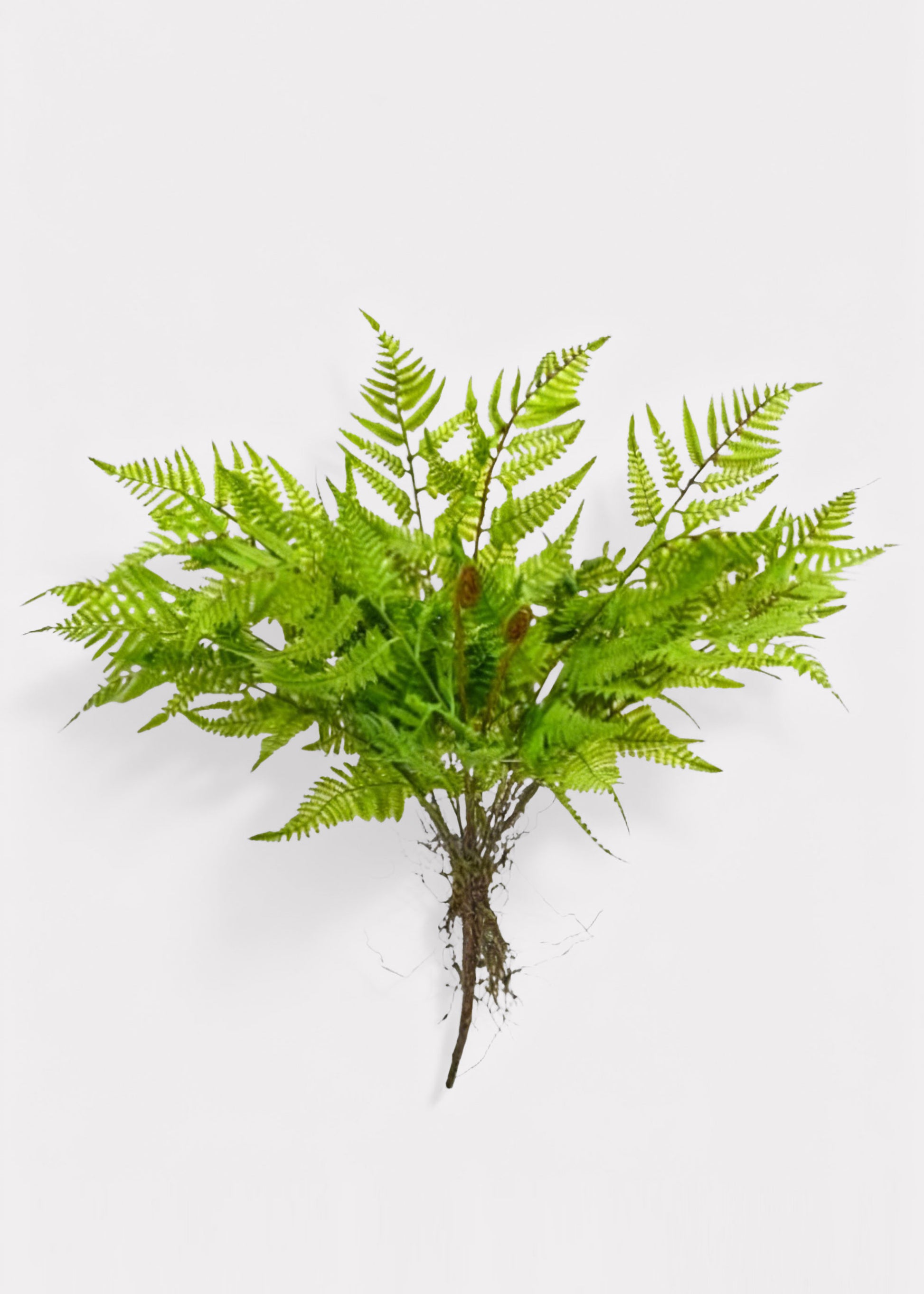Artificial Leather Fern Plant