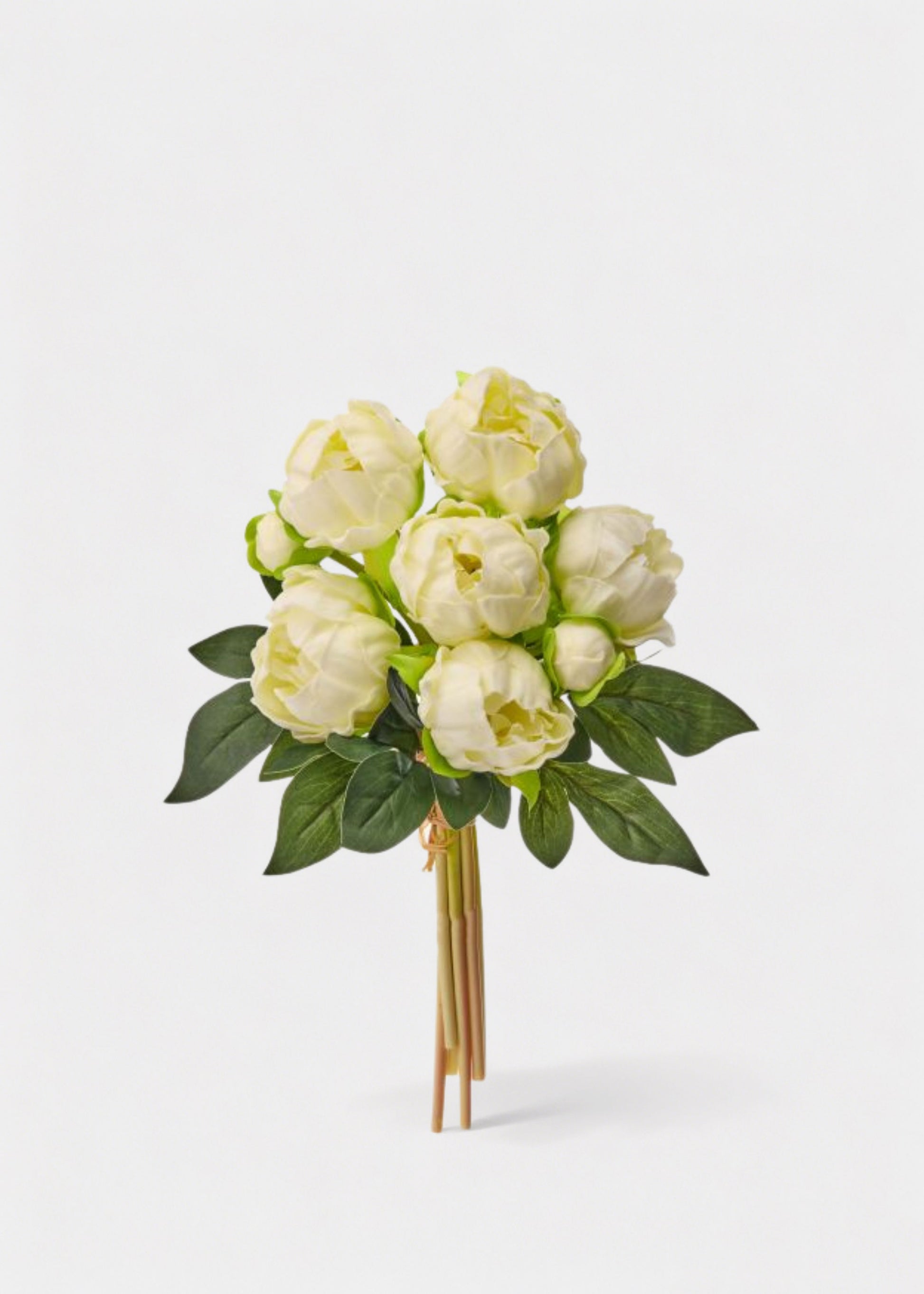 Cream Peony Flower Bundle