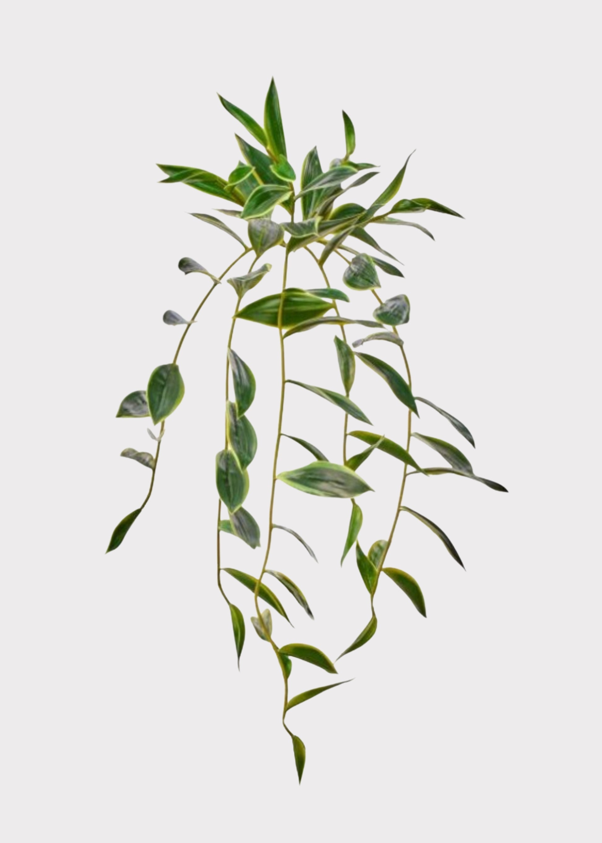 Natural Touch Hanging Bamboo Plant