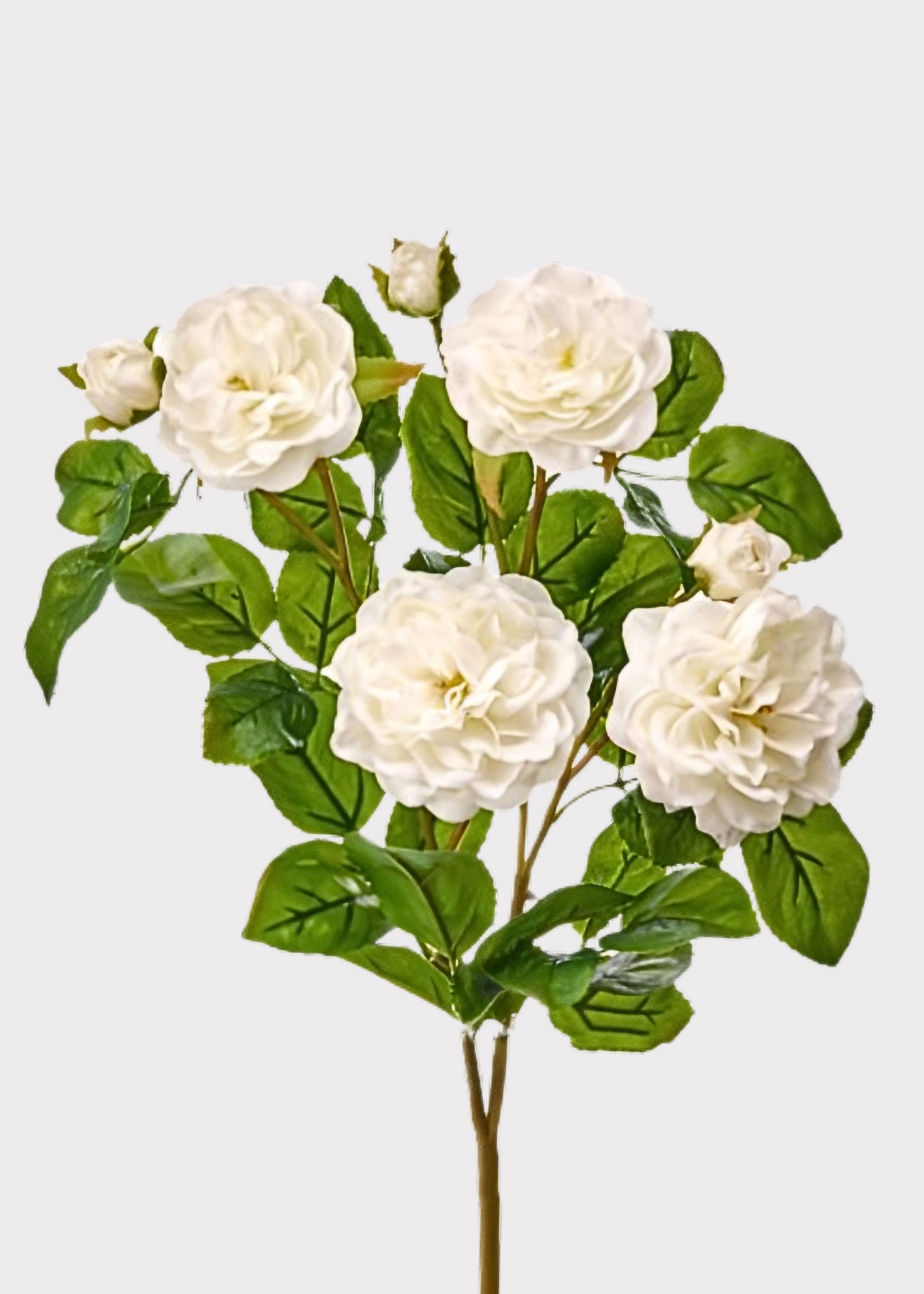 white rose indoor plant UV Treated Indoor/Outdoor Flowers White Real Touch Rose Bush