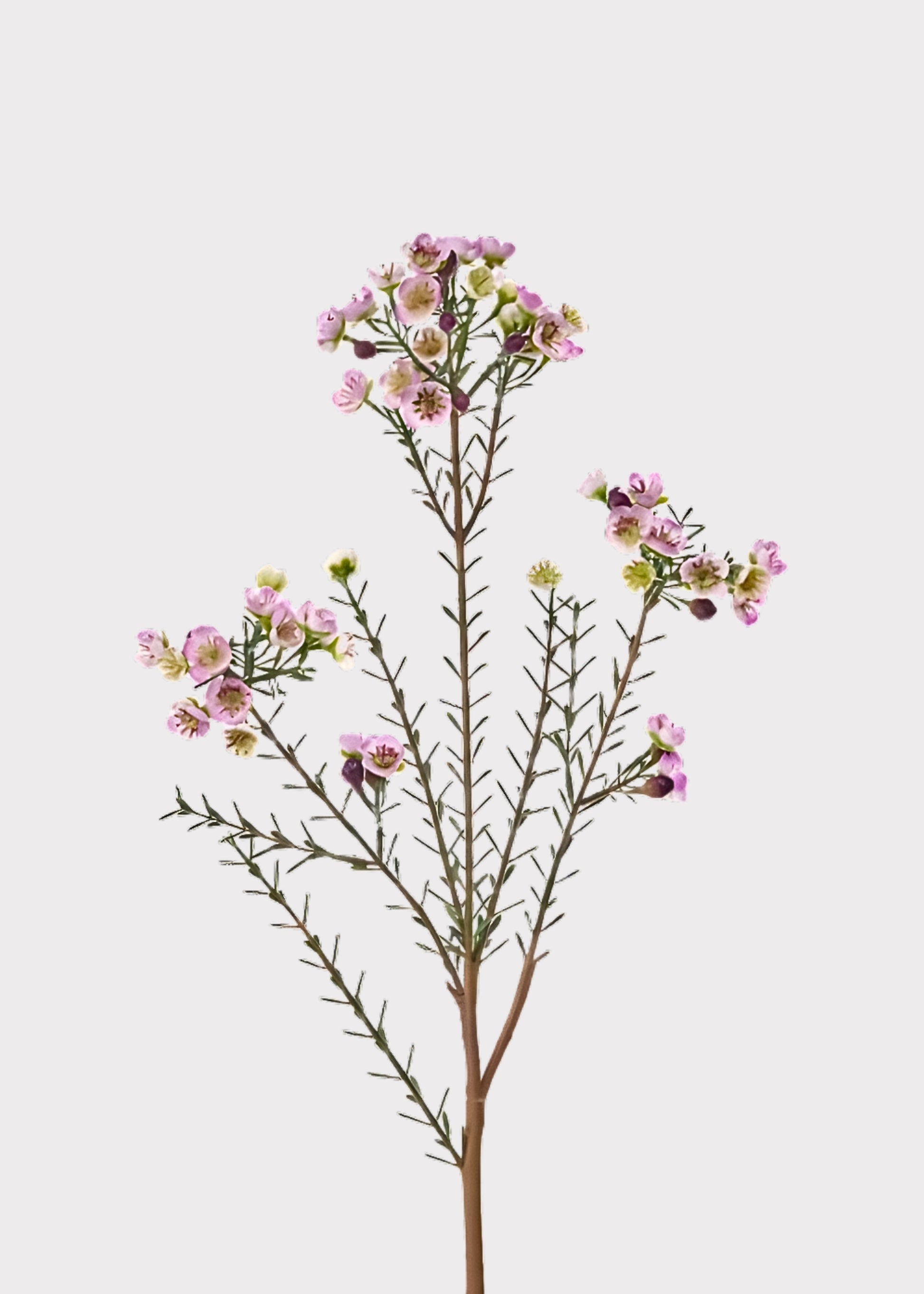 faux lavender plants Lavender Fake Wildflower Waxflower Spray