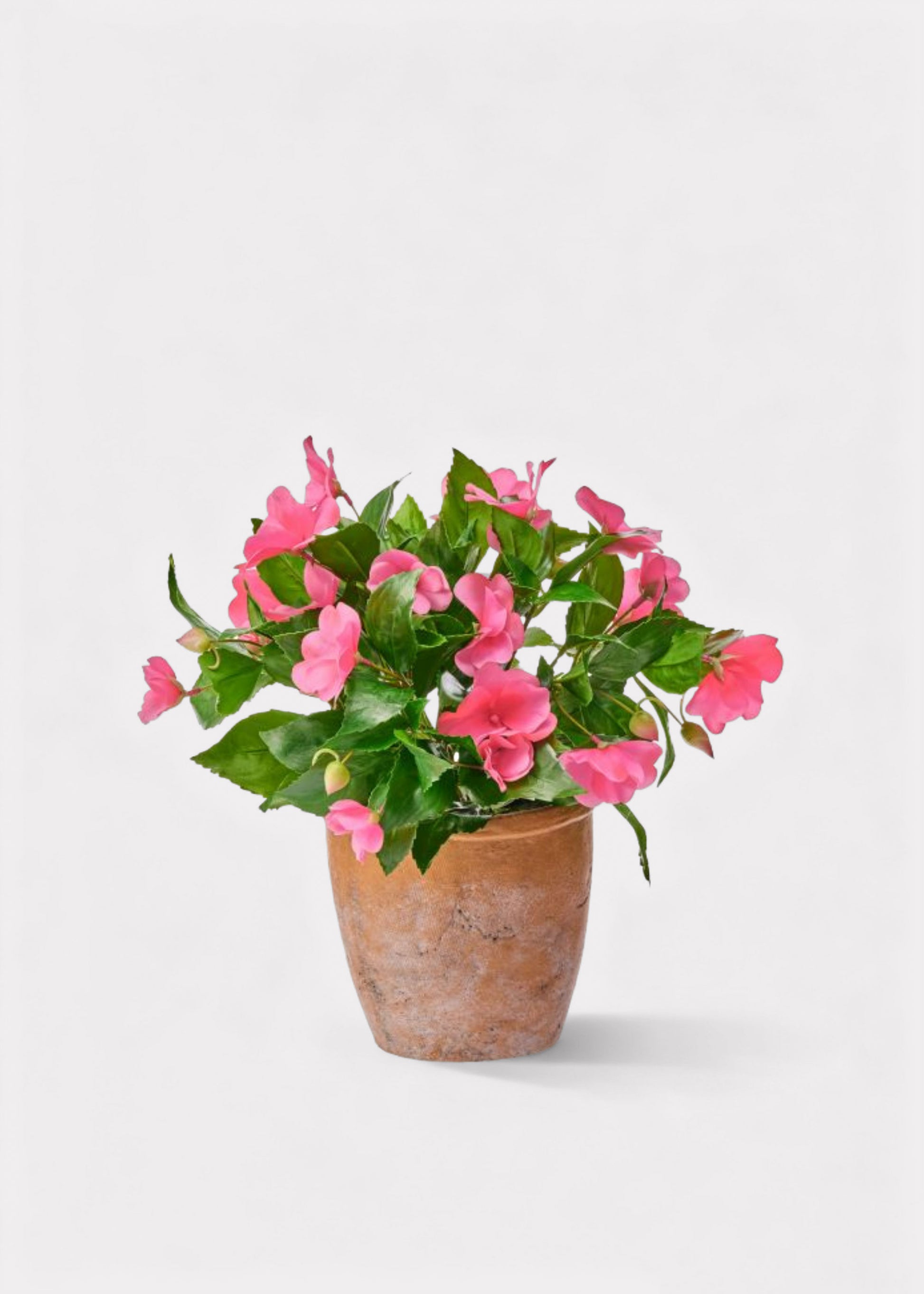 Potted Faux Impatiens in a Clay Pot