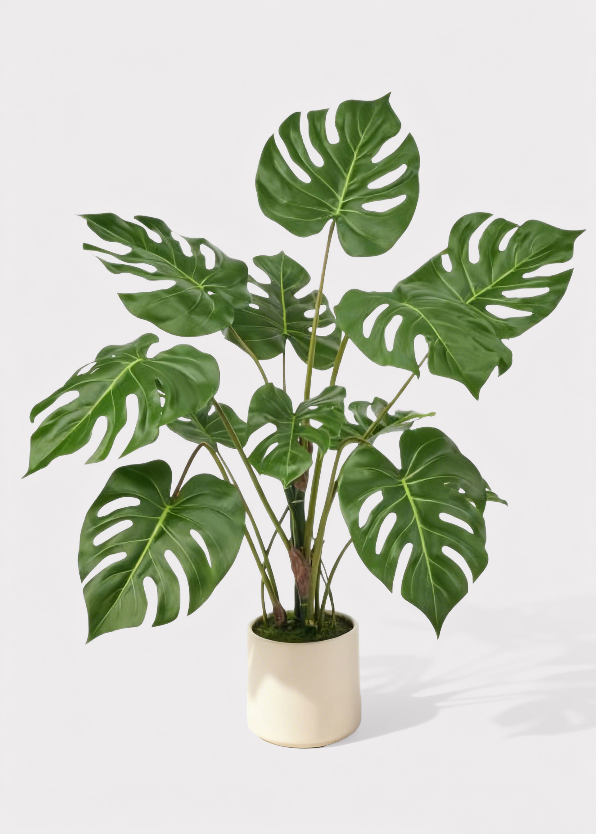 UV Treated Indoor/Outdoor Fake Monstera Plant in Pot - 36"