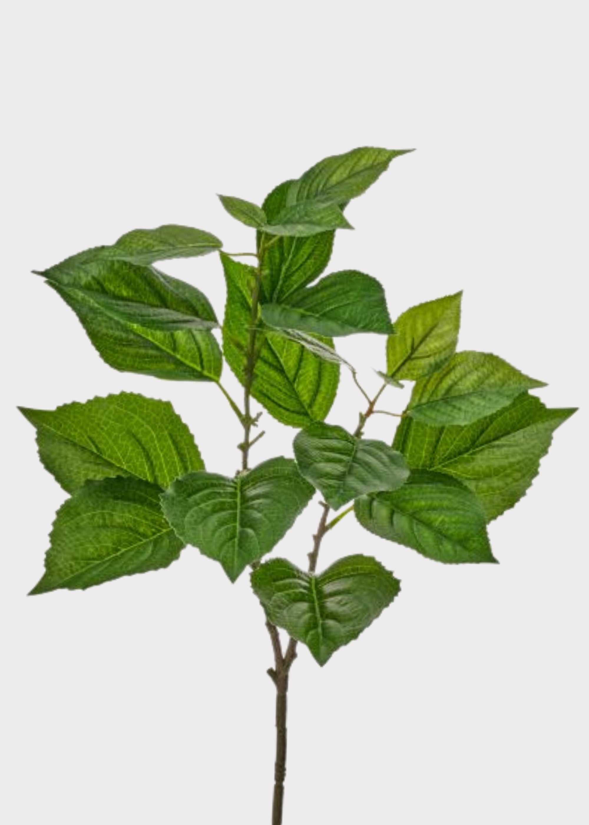 Green Fake Real Touch Hydrangea Leaf Spray - 26