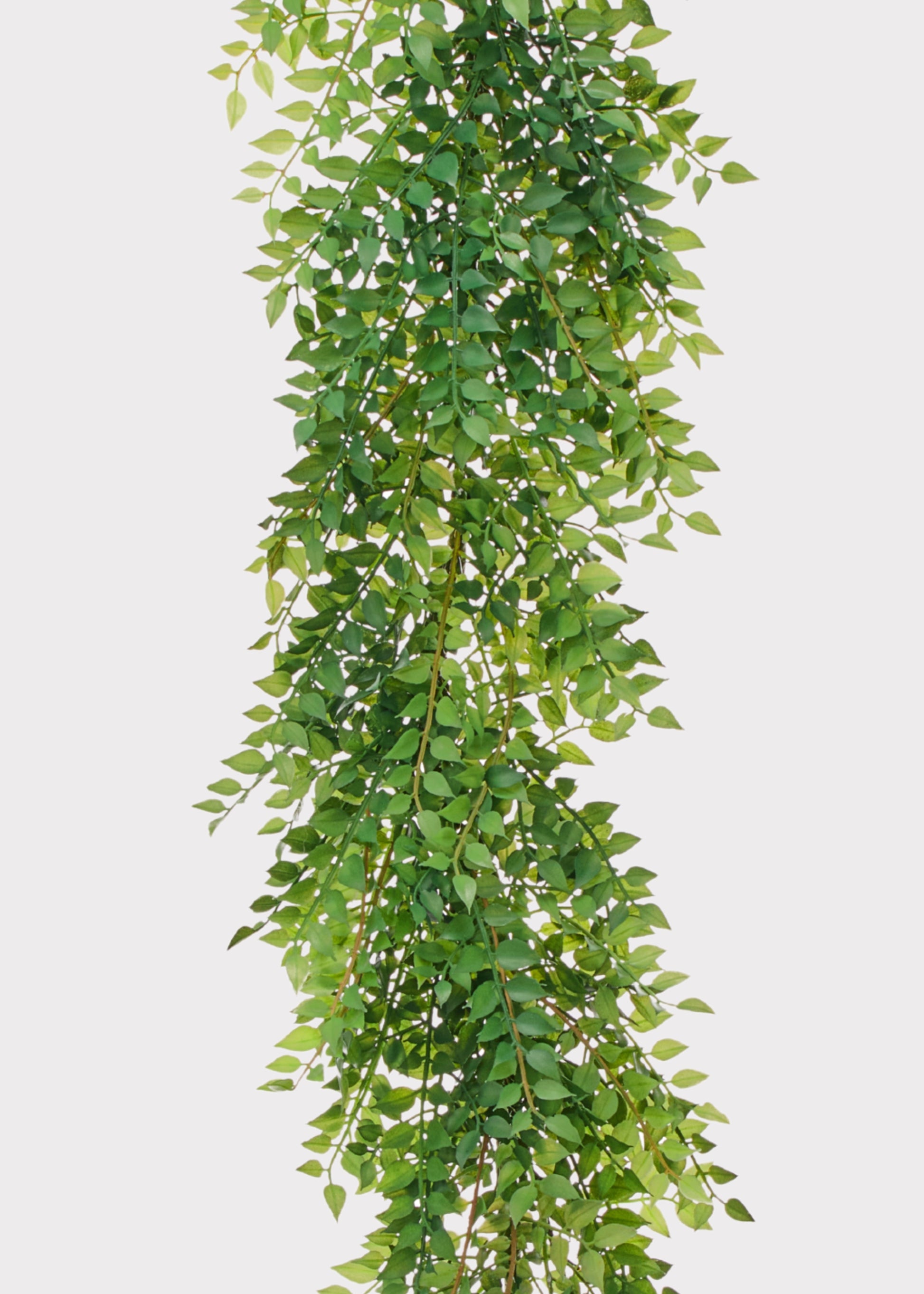 Faux Ruscus Leaf Garland