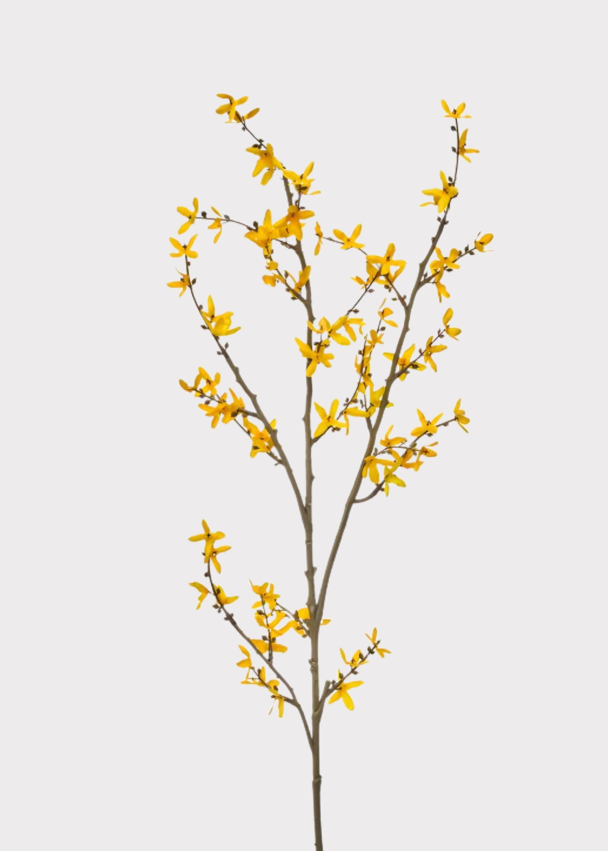 Fake Forsythia Branch in Yellow