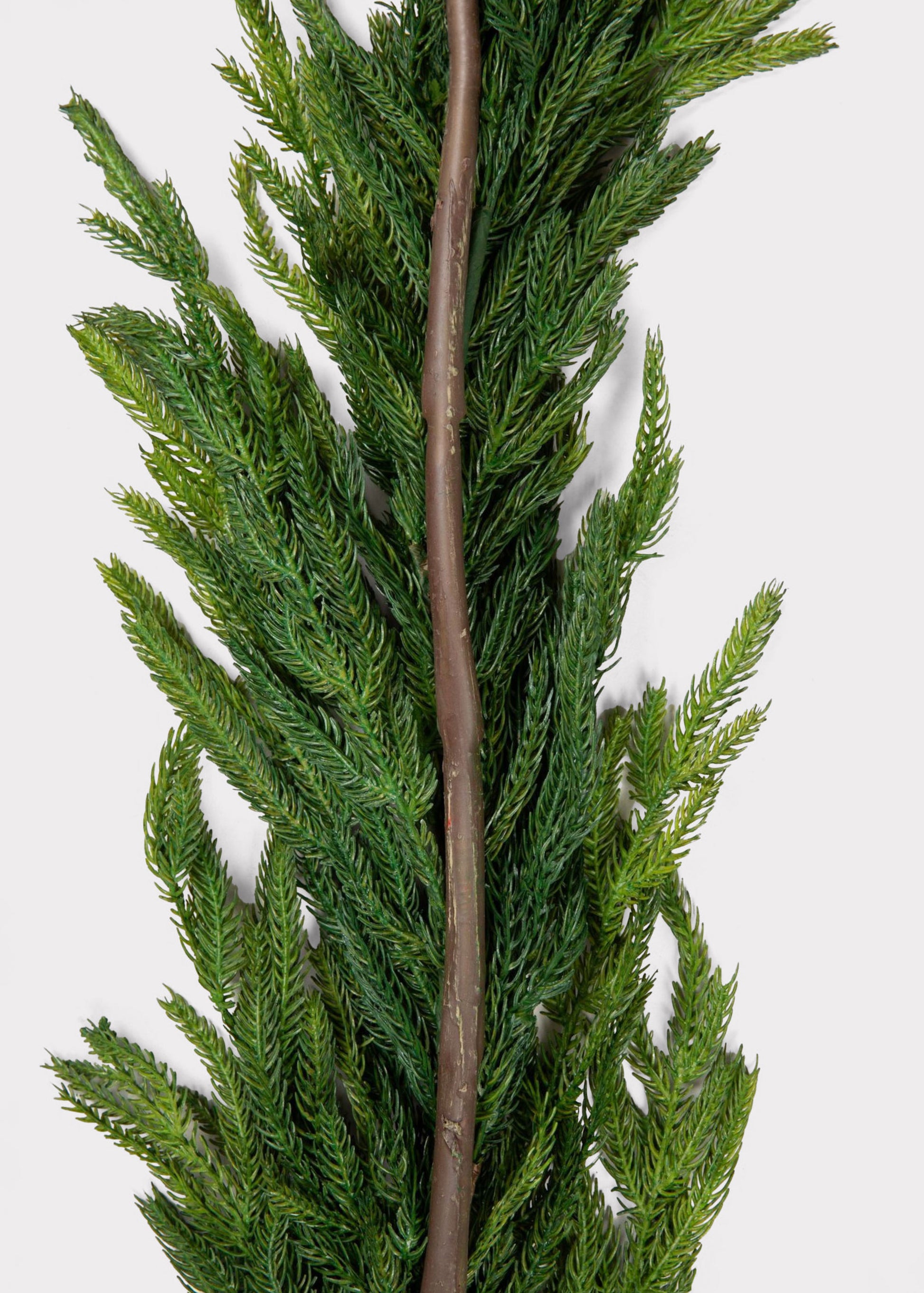 A close-up of a green artificial norfolk pine garland with dense needle-like foliage and a brown stem