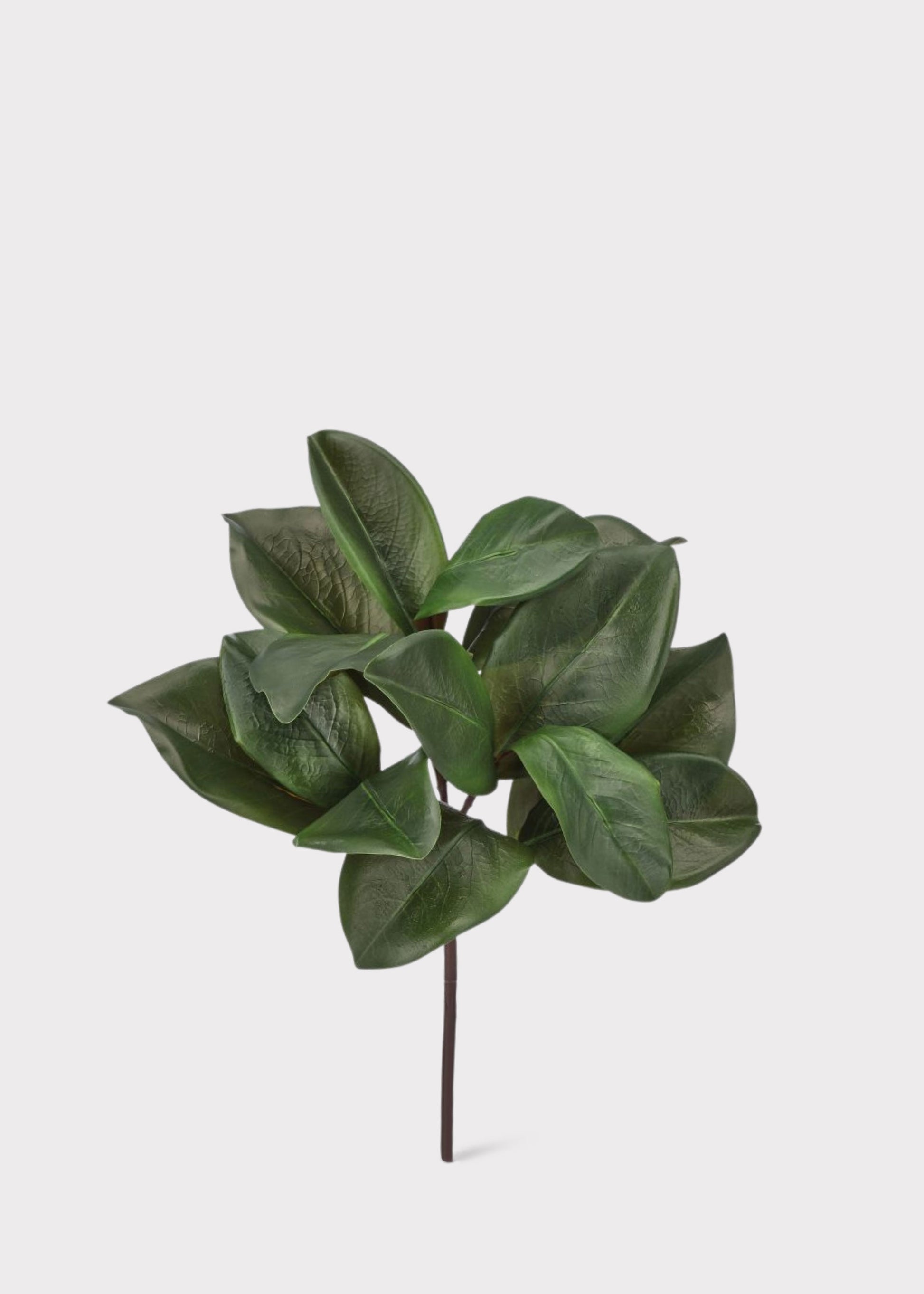 artificial magnolia leaves