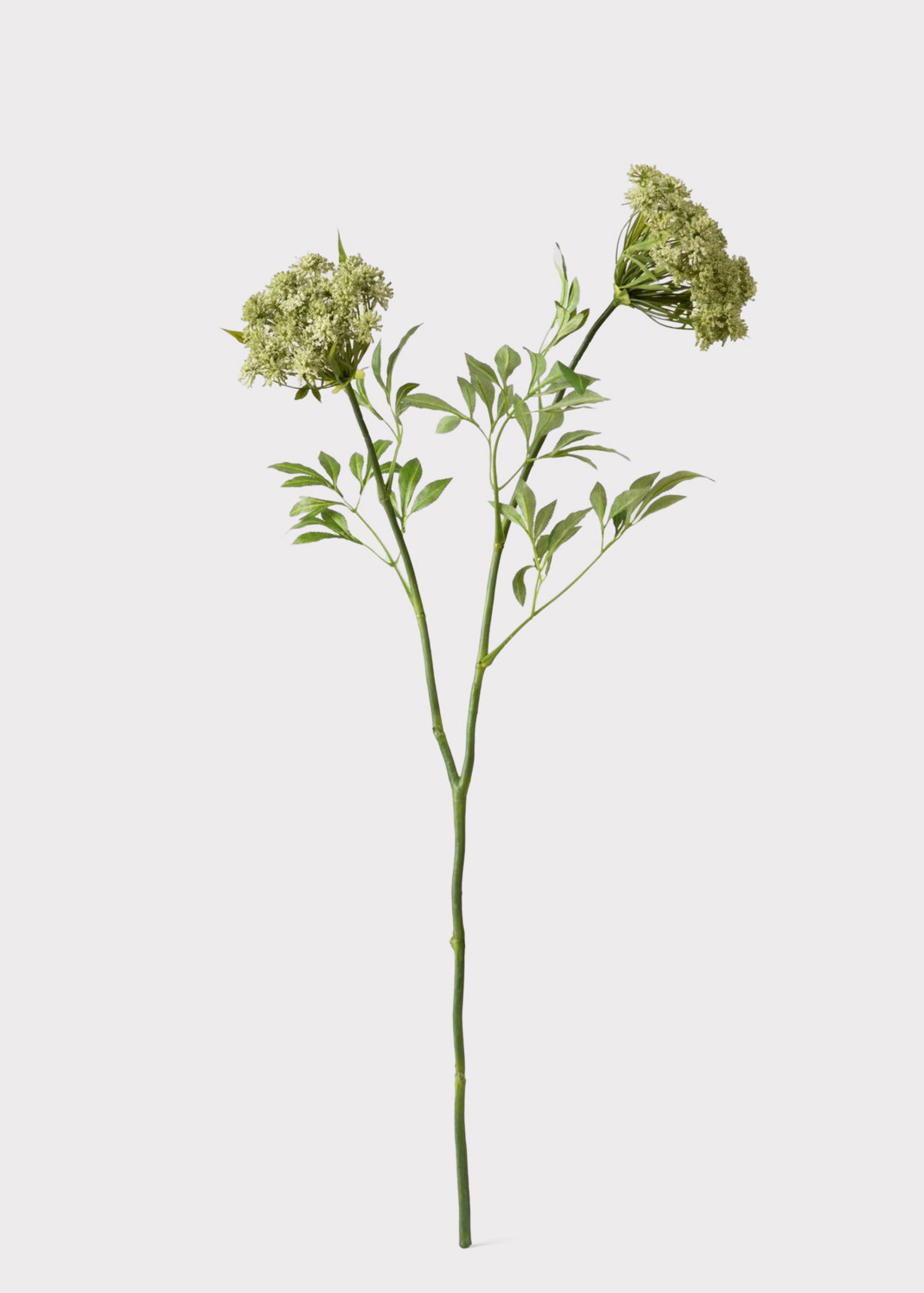 Nature-Inspired Botanicals Faux Queen Anne's Lace Wildflowers